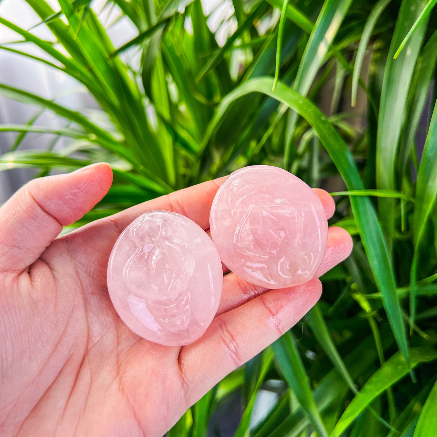 rose quartz source of life