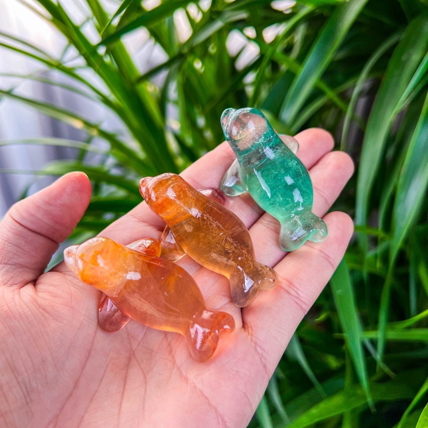 fluorite seal