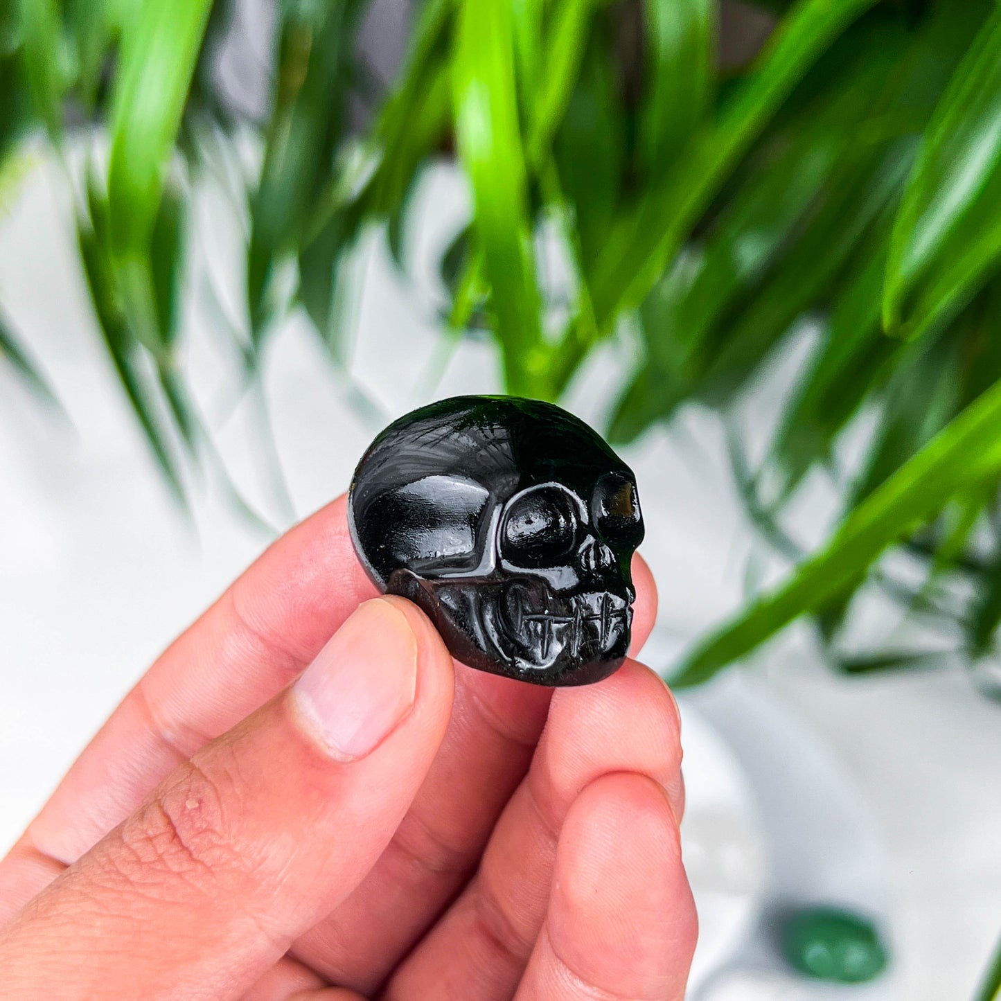small skull