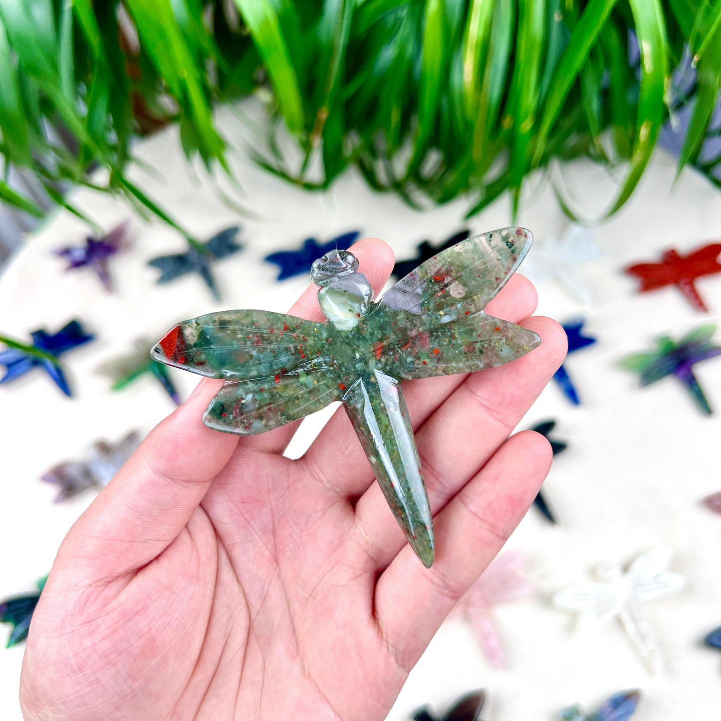 dragonfly