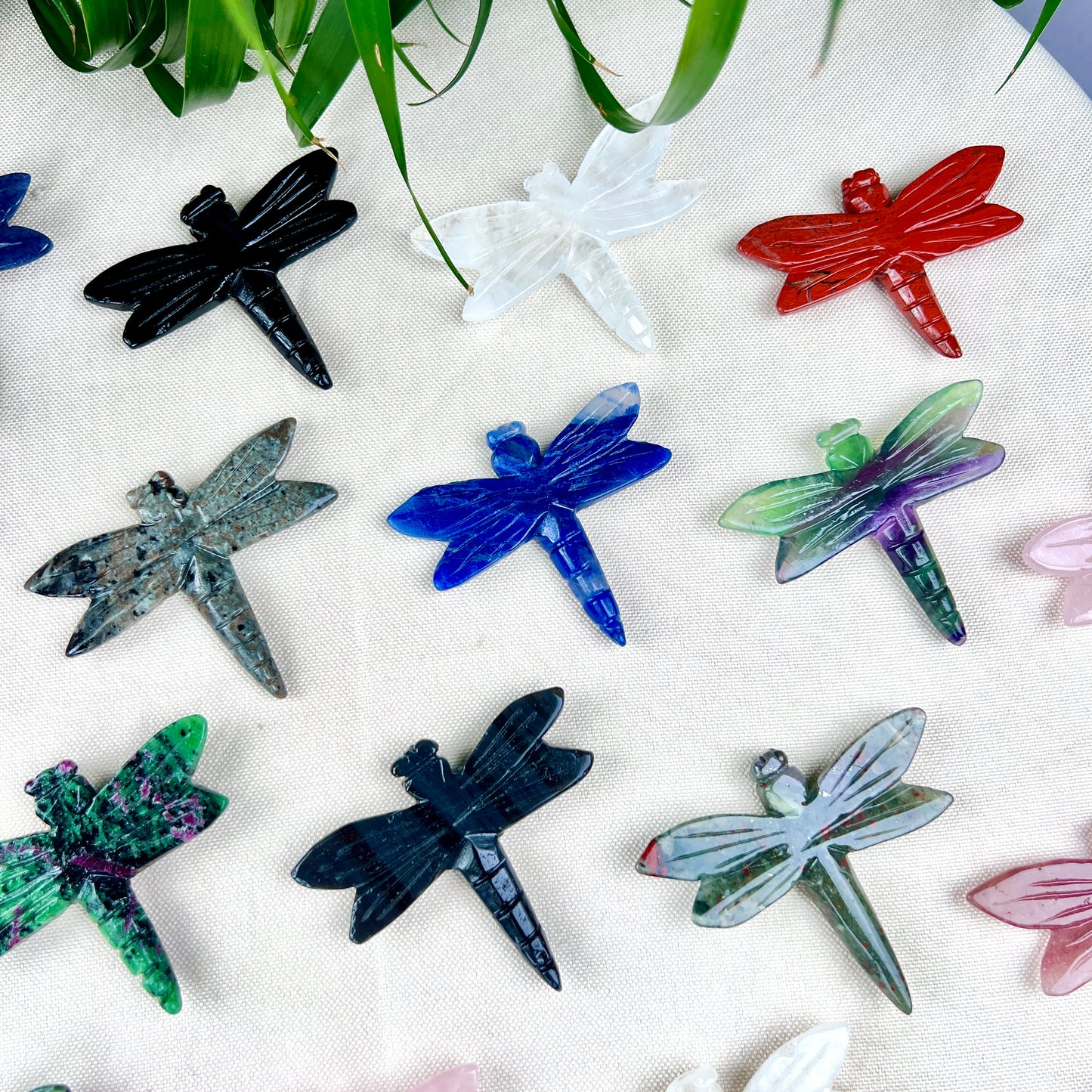 dragonfly