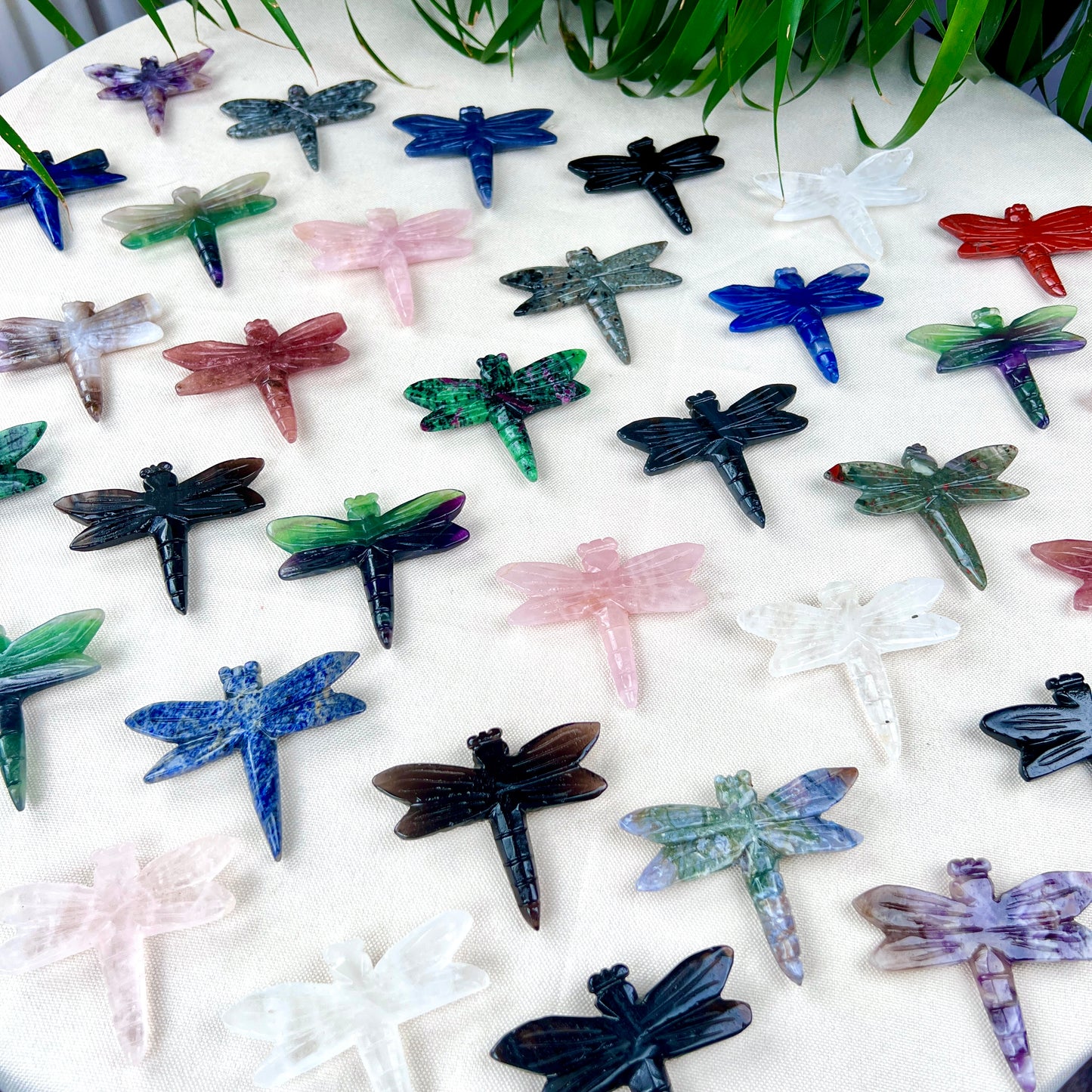 dragonfly