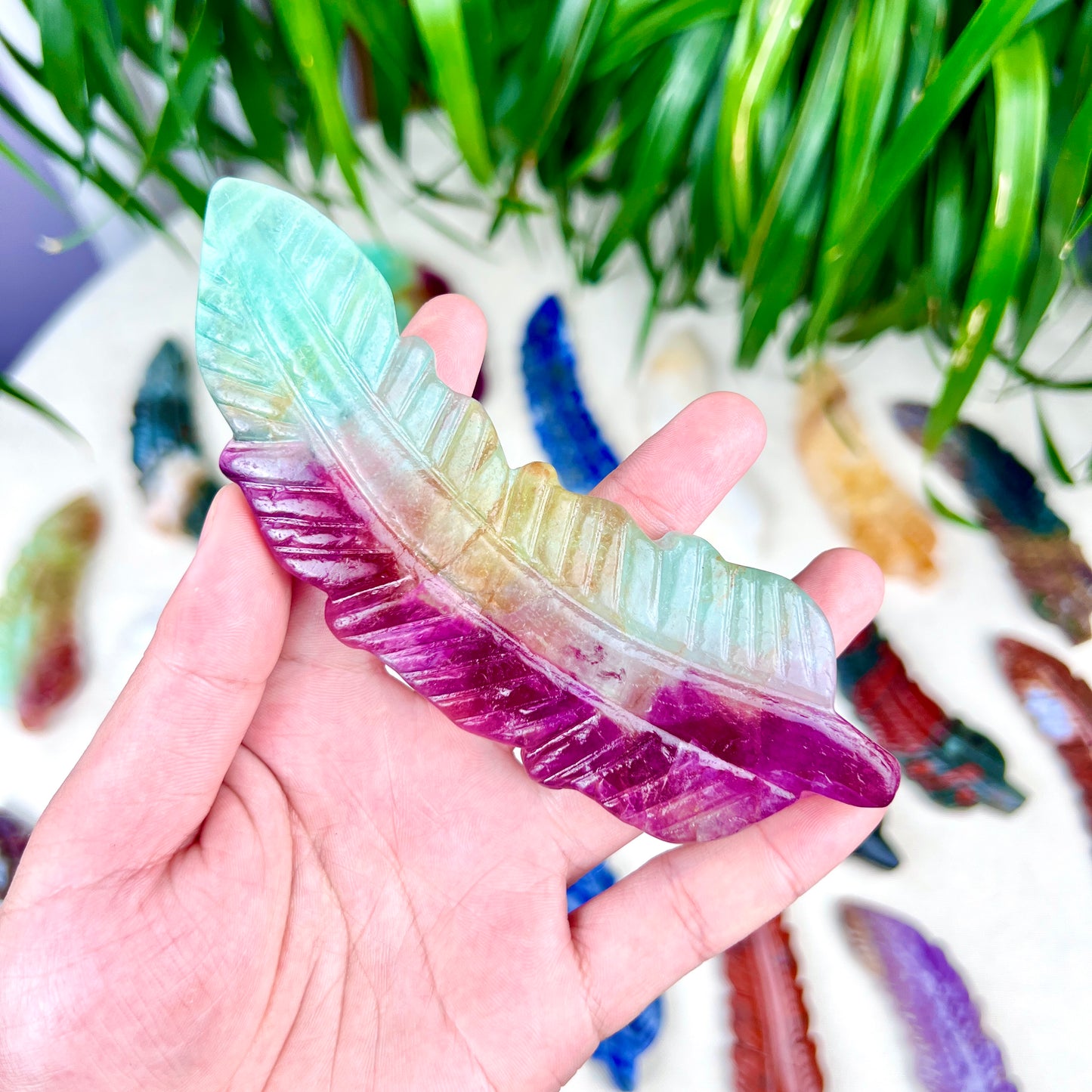 feather