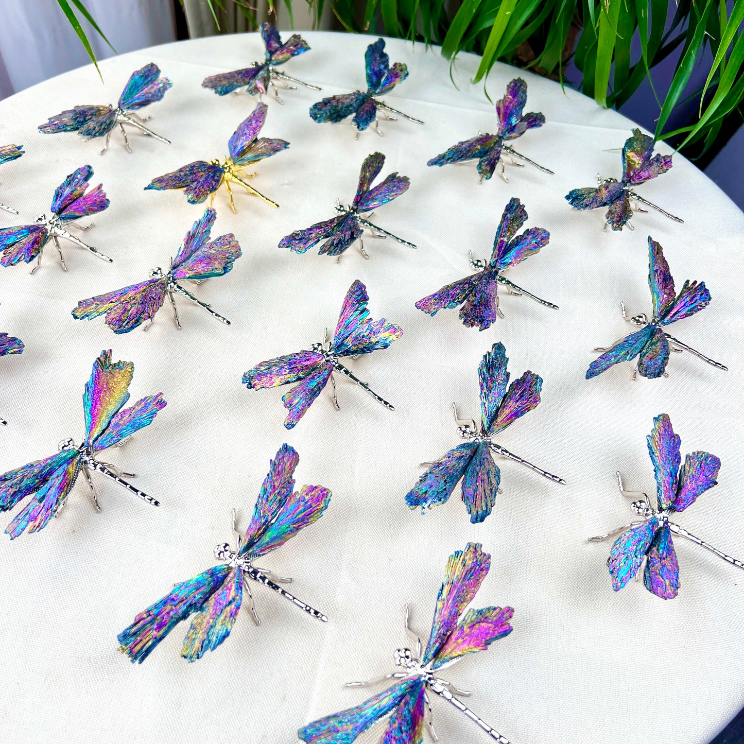 dragonfly