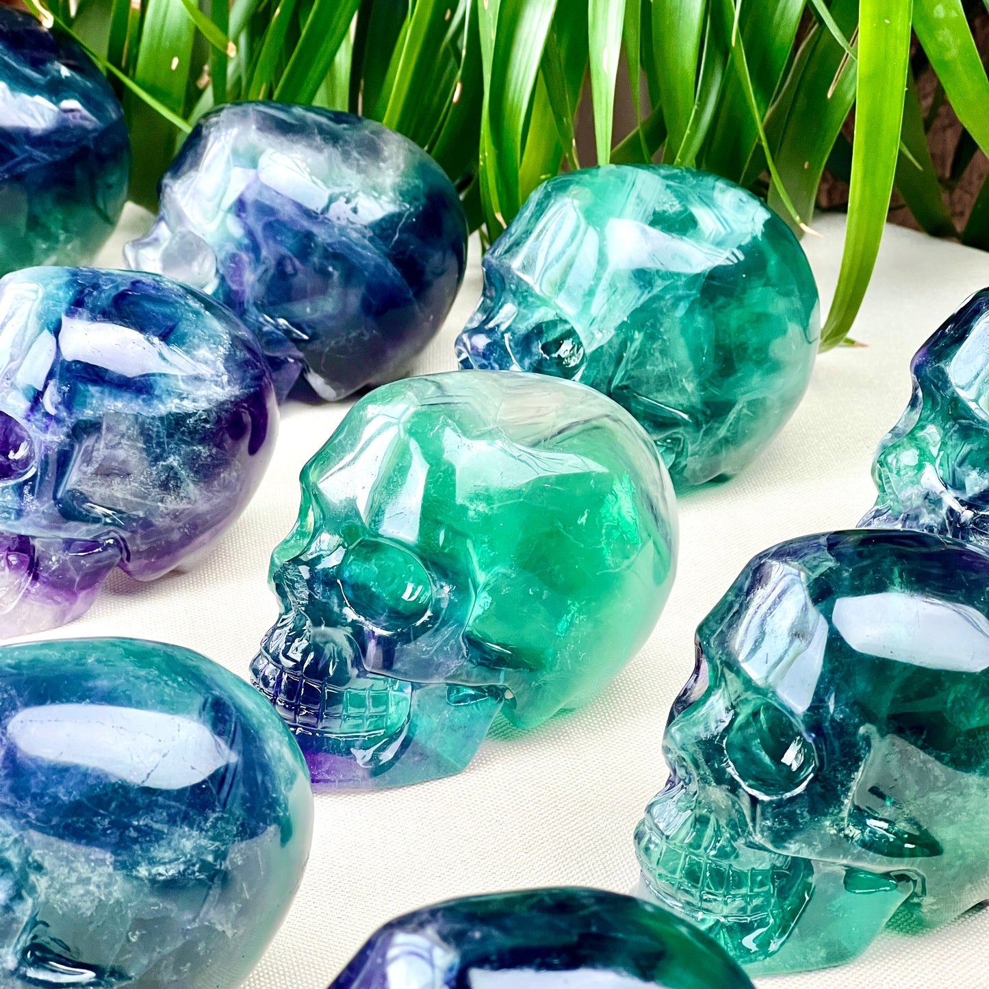 fluorite skull