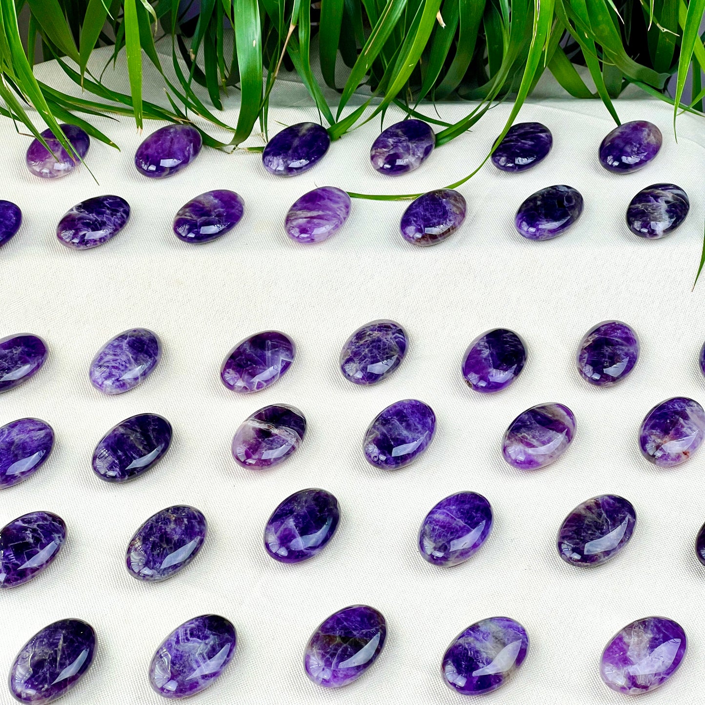 dream amethyst palm