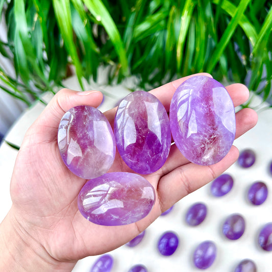 amethyst palm