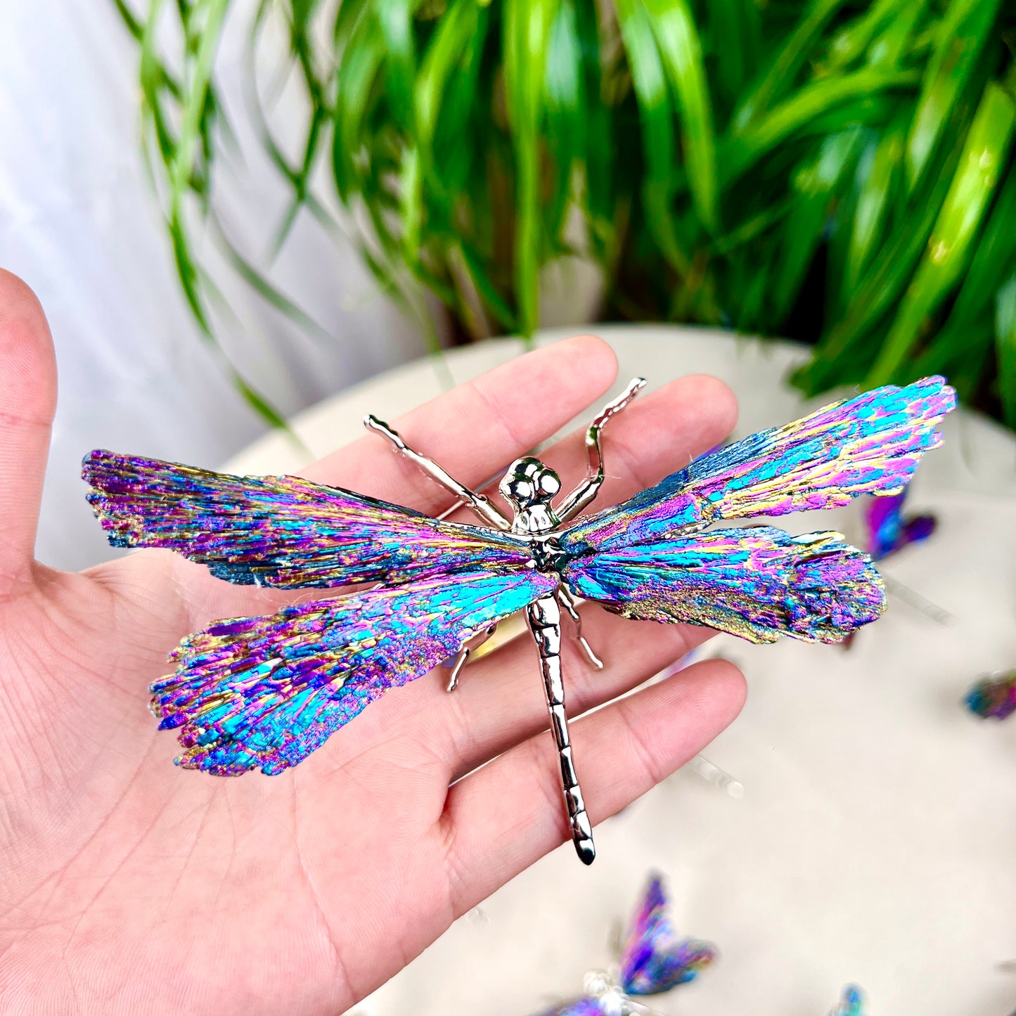 dragonfly