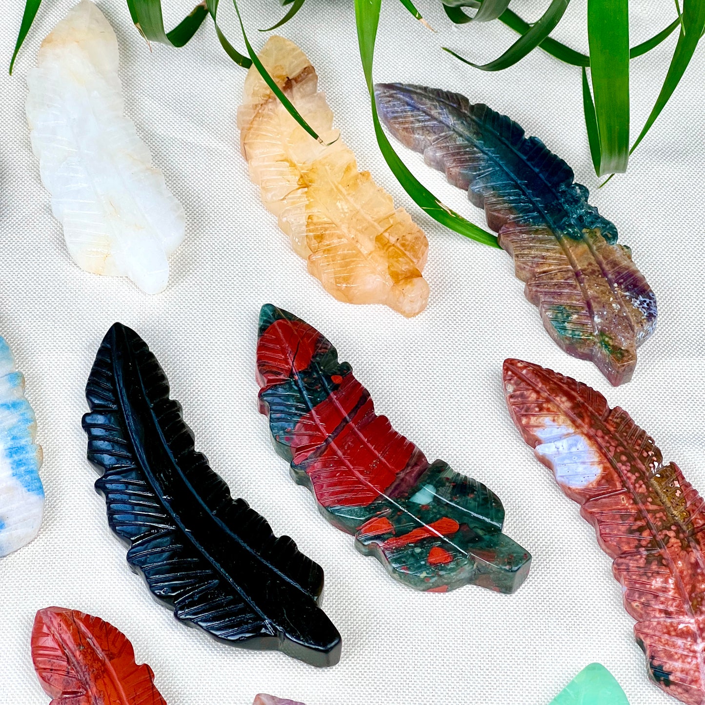 feather