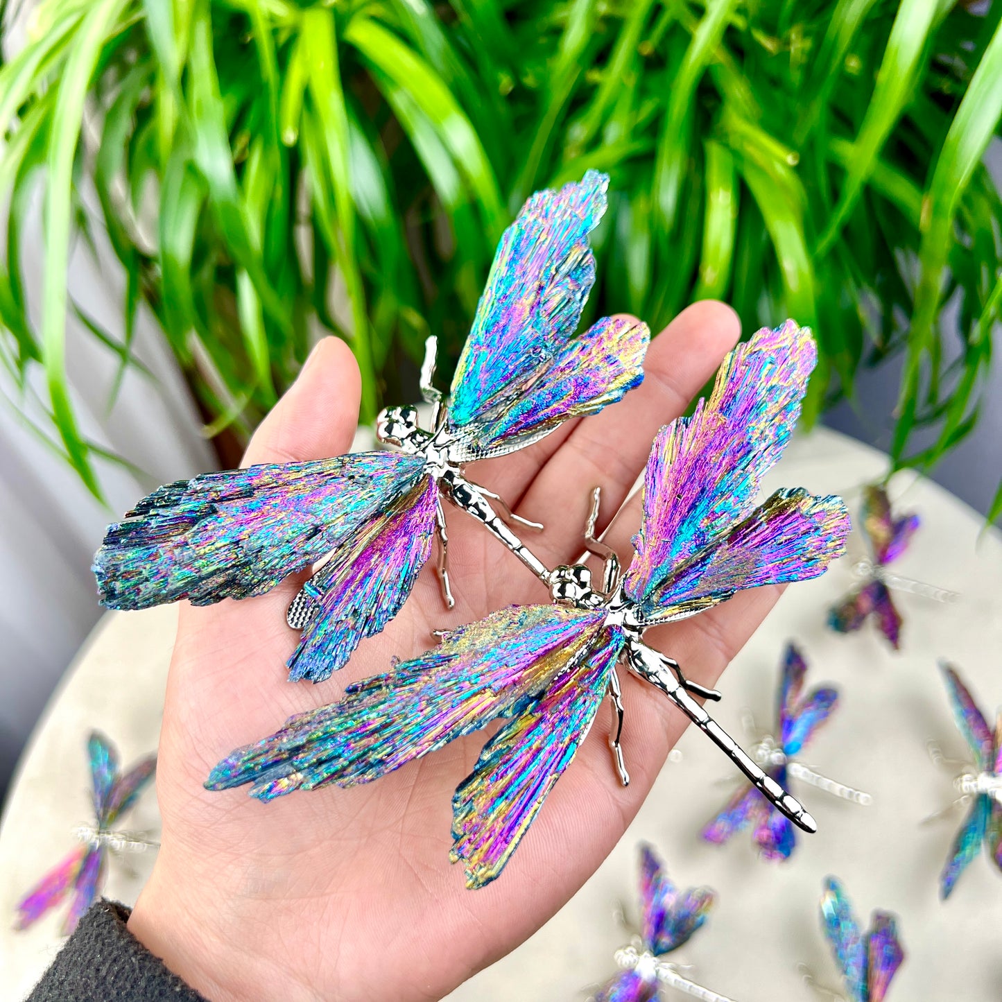 dragonfly
