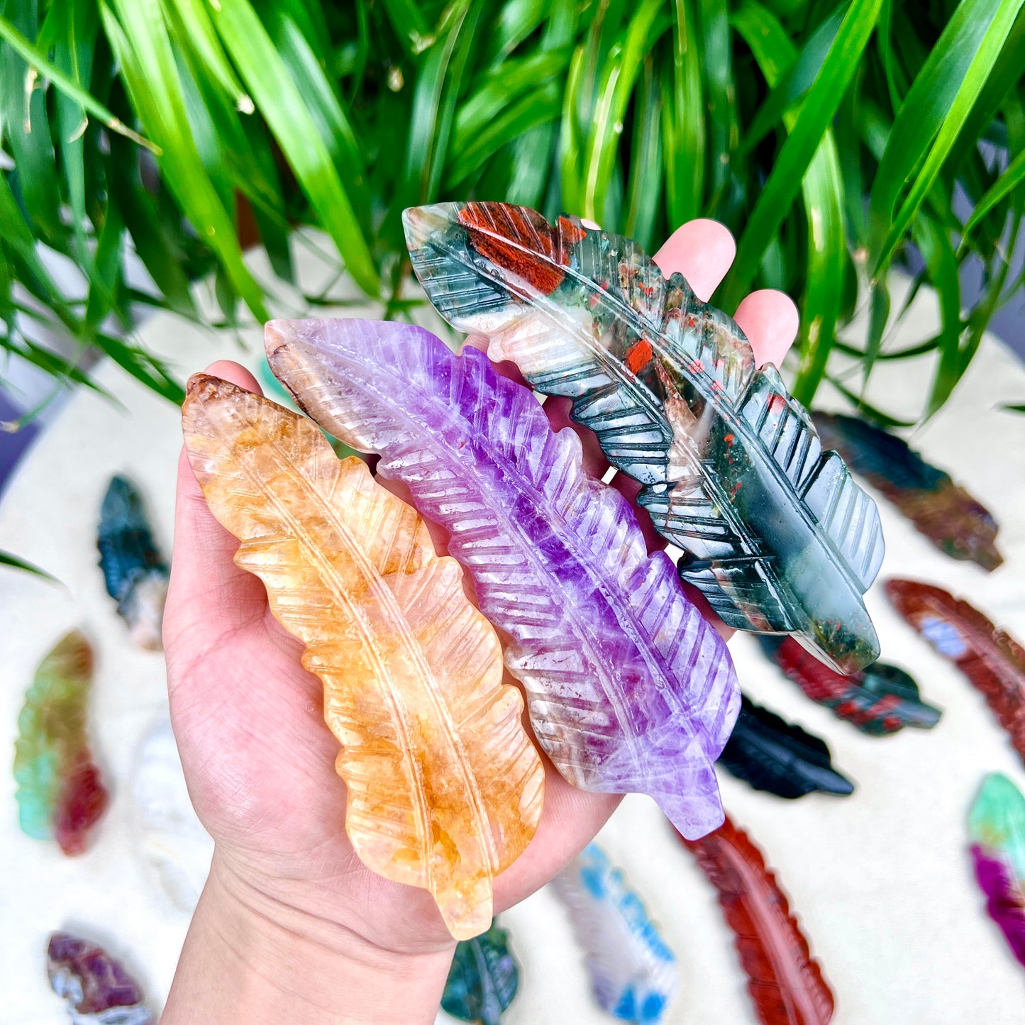 feather