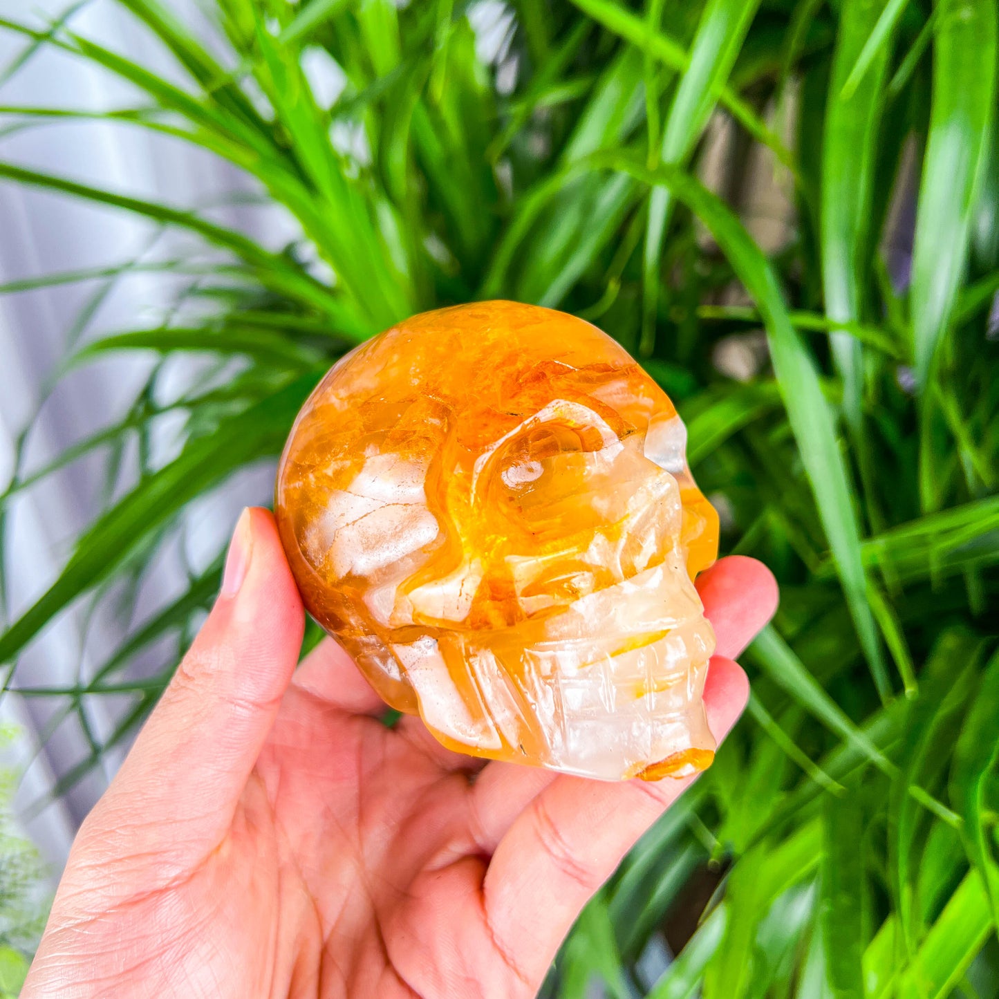golden healer skull