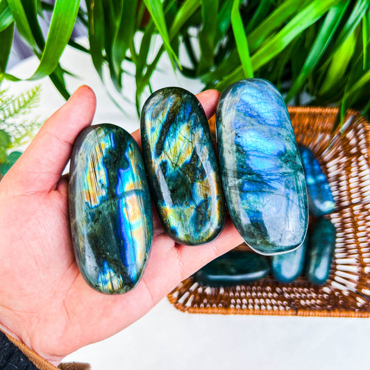 labradorite plam