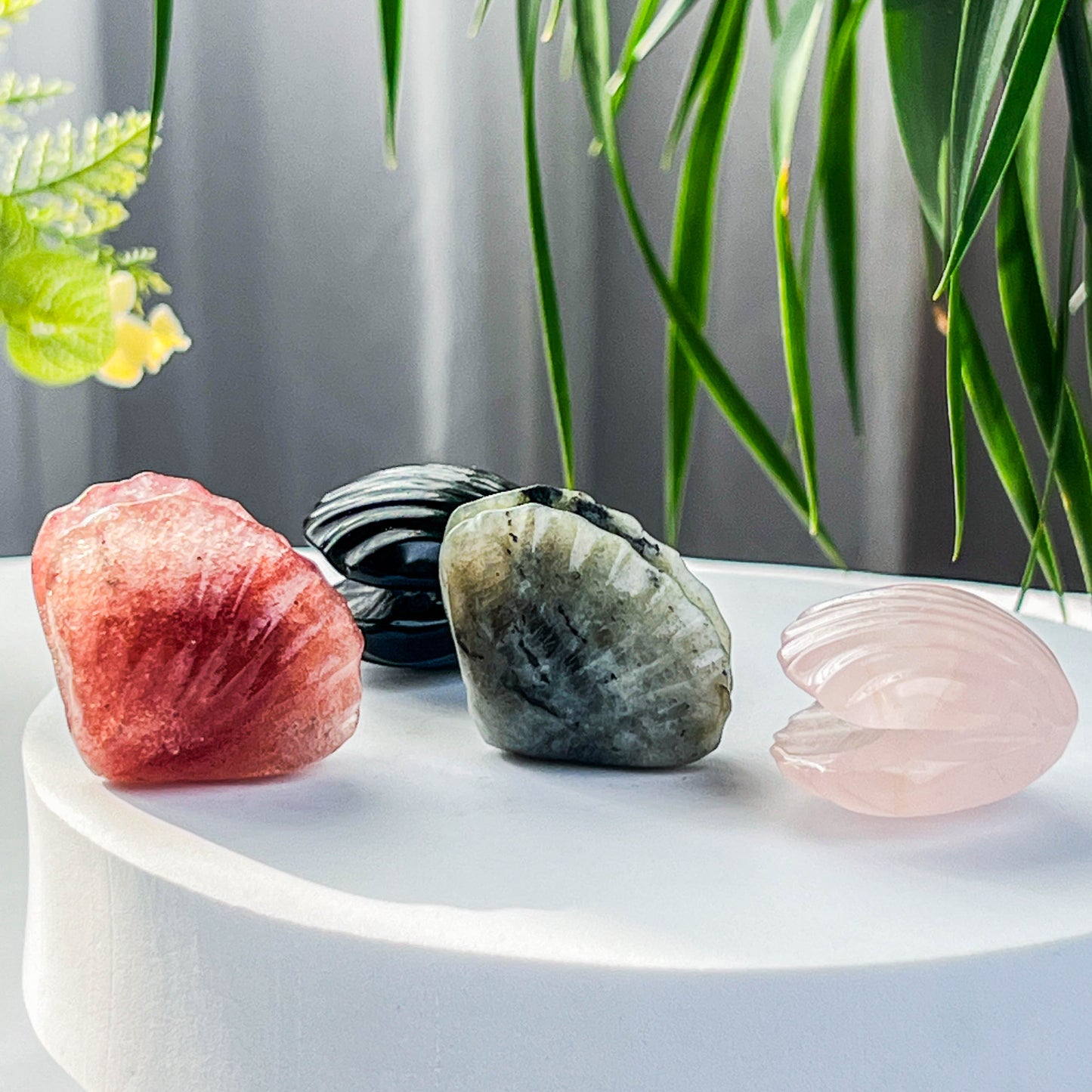 shell