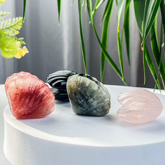 shell