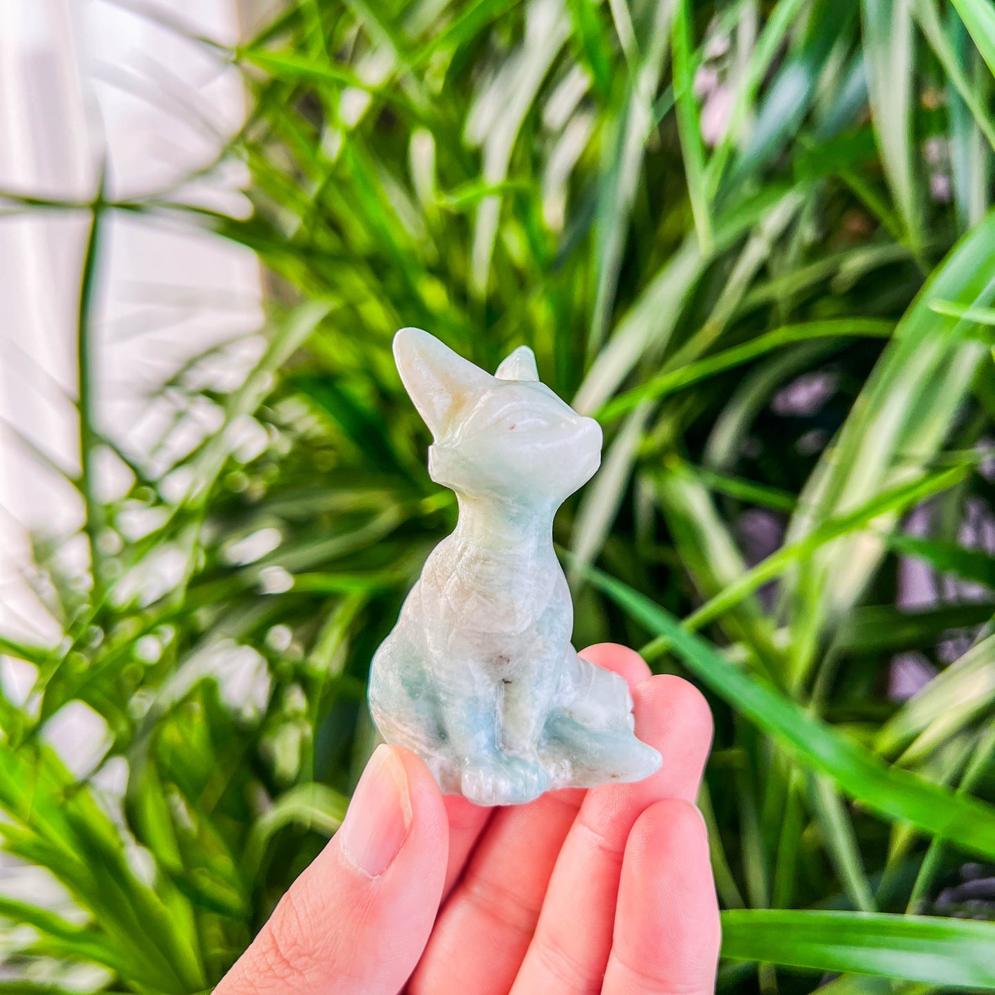 fox