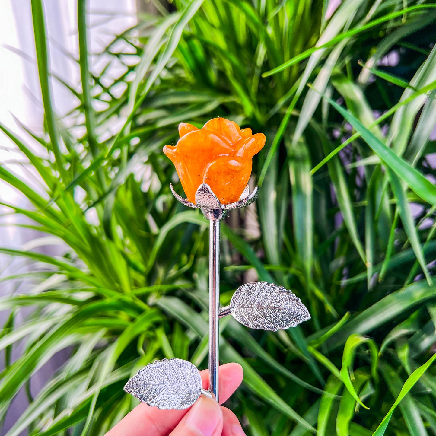 rose