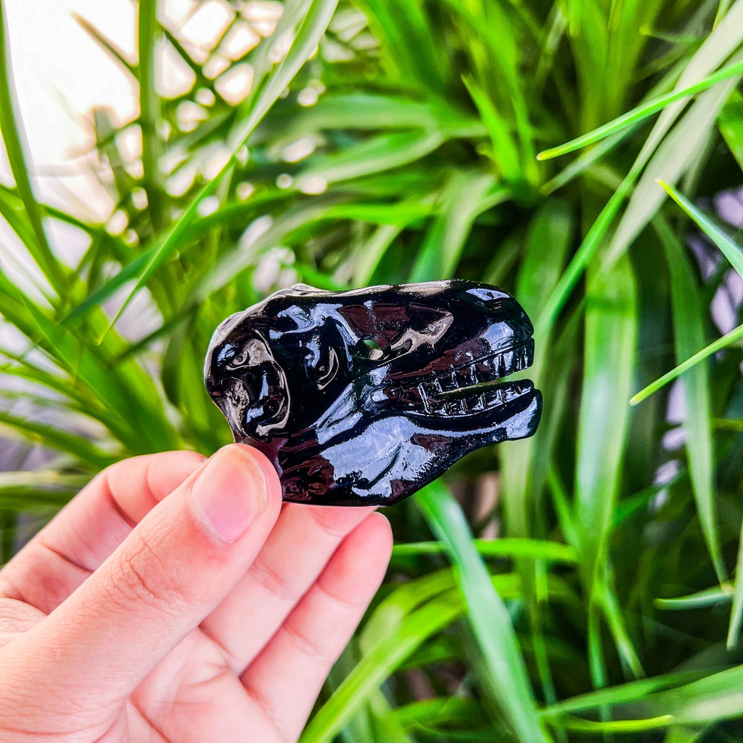 dragon skull