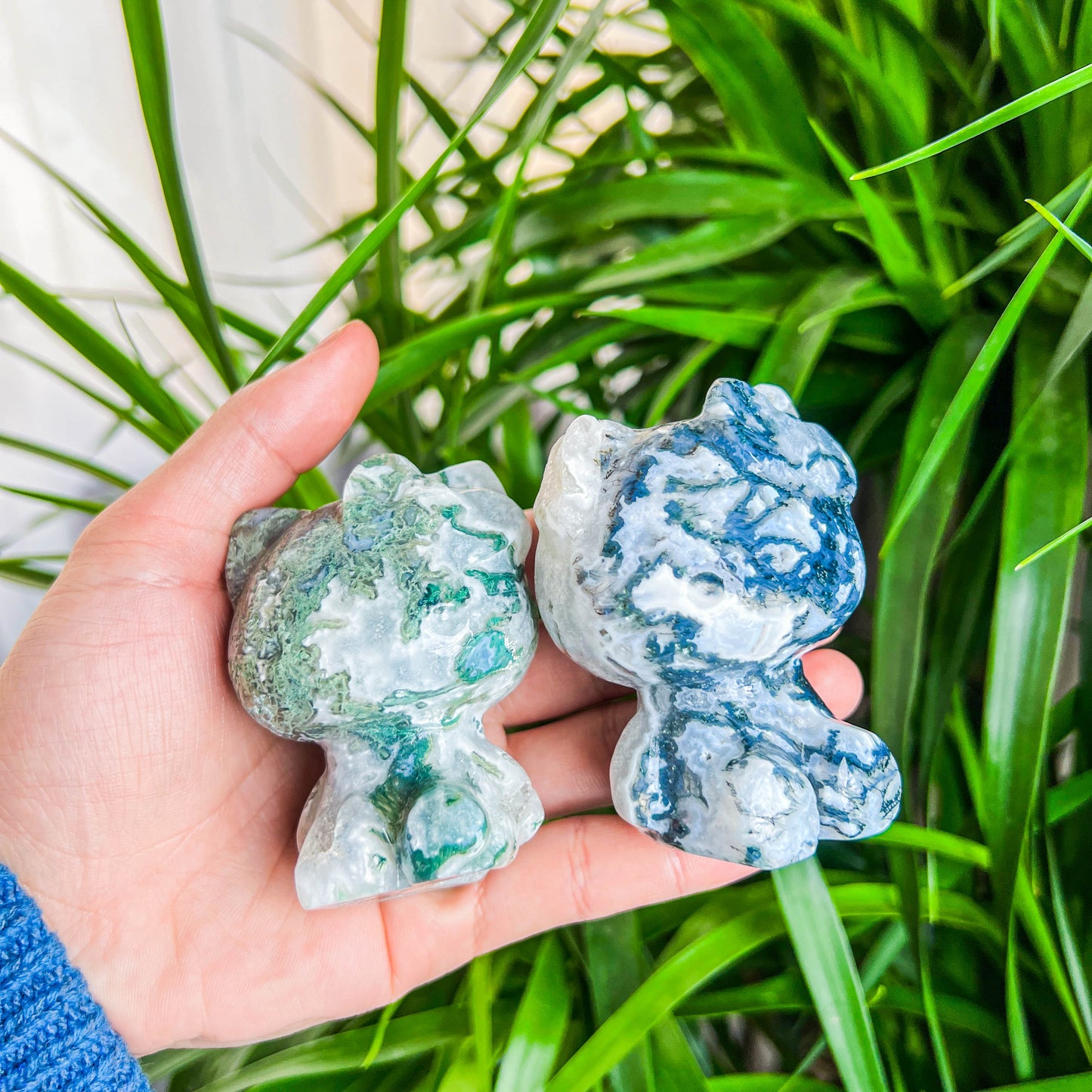 moss agate cat