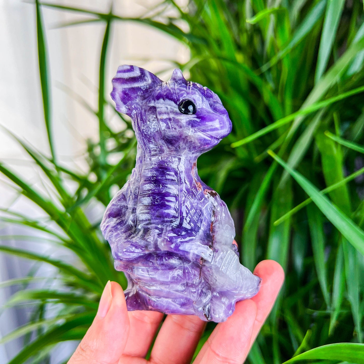 baby dragon