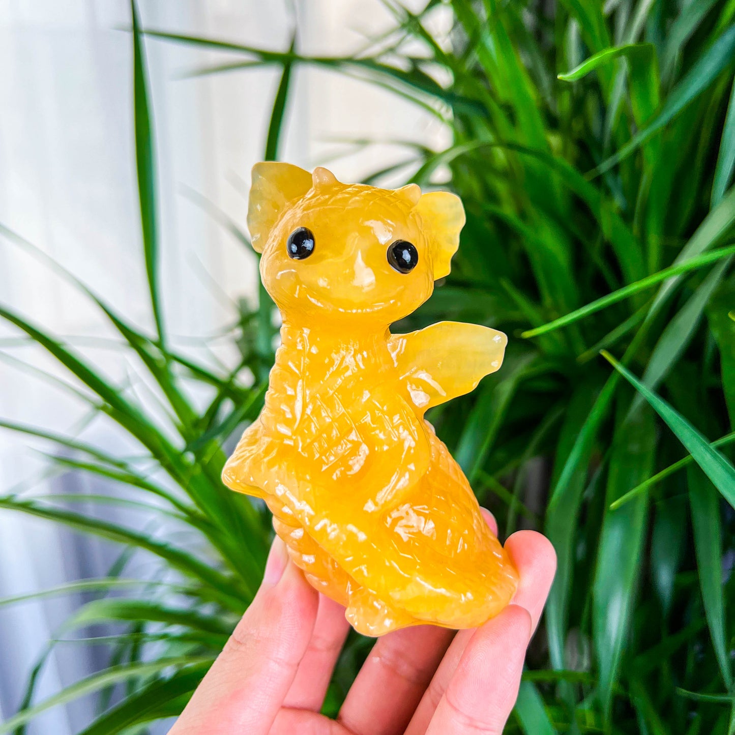 baby dragon