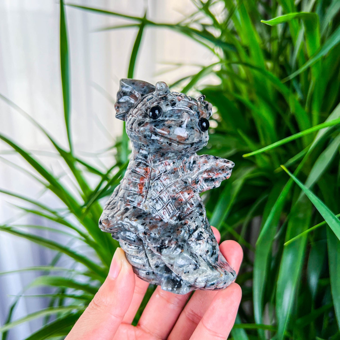 baby dragon
