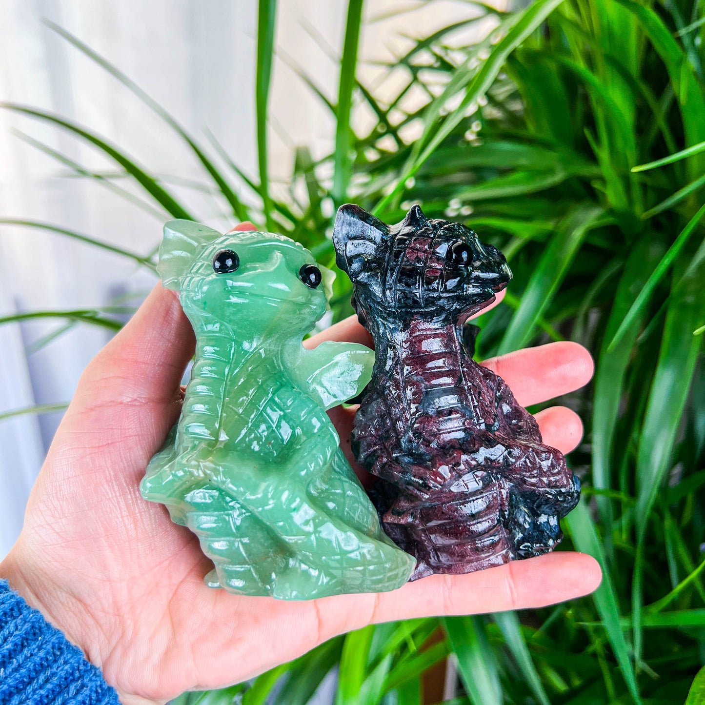 baby dragon