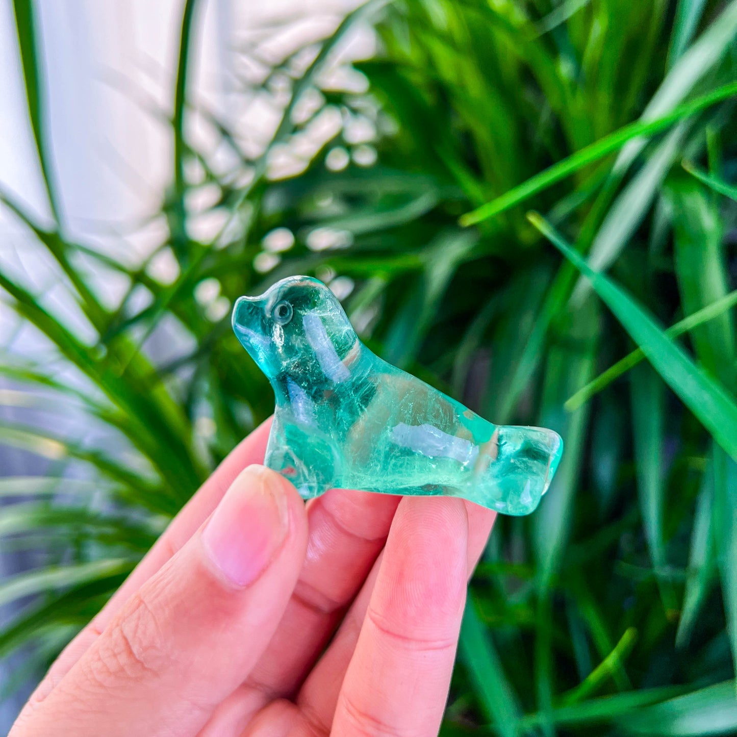 fluorite seal