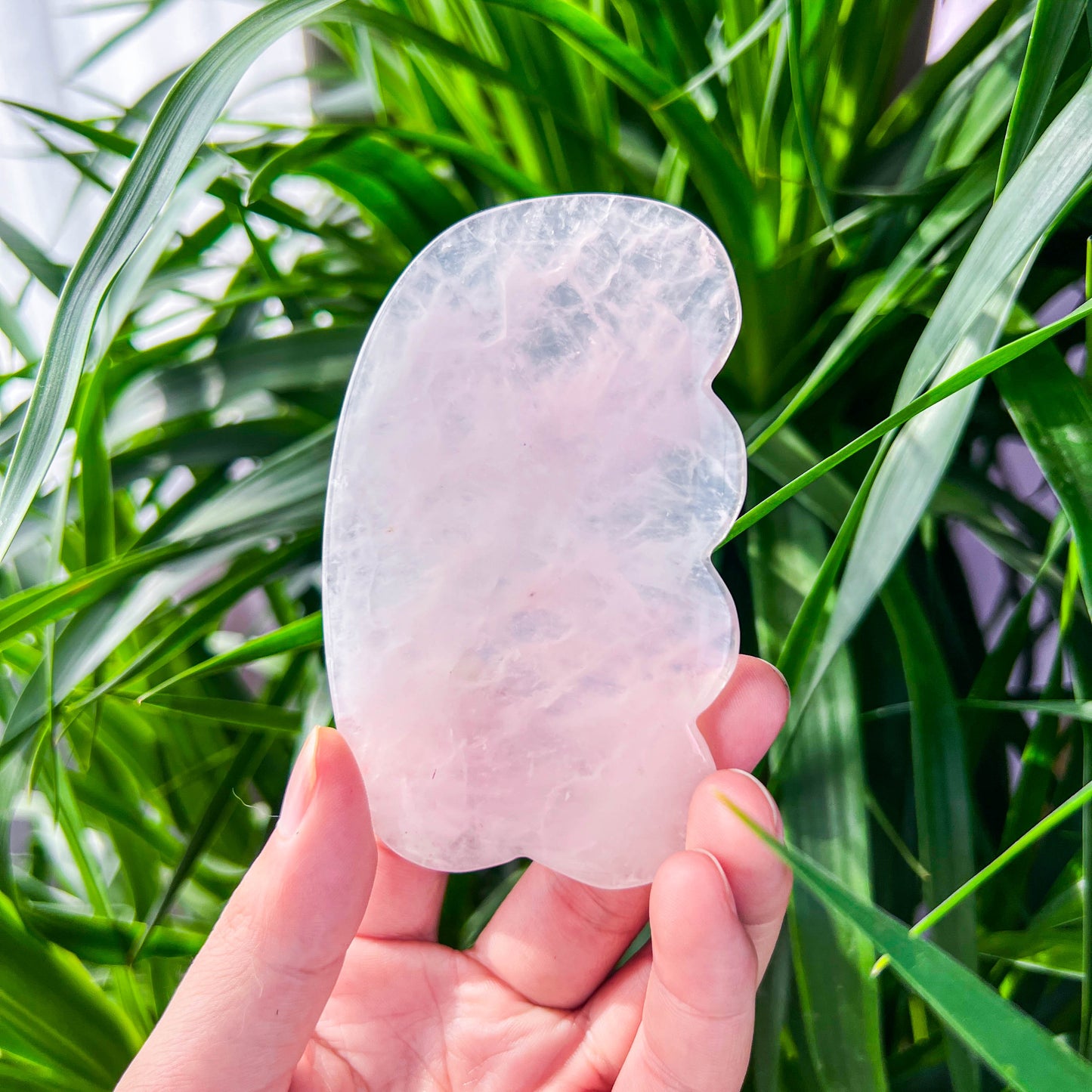 rose quartz guasha slab