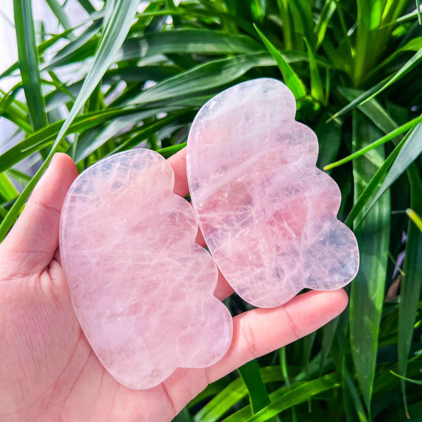 rose quartz guasha slab