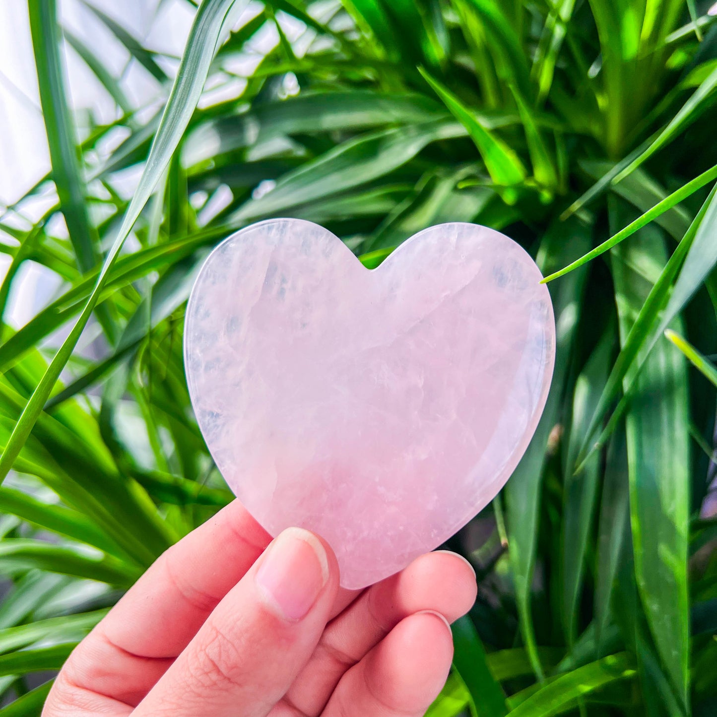 rose quartz guasha slab