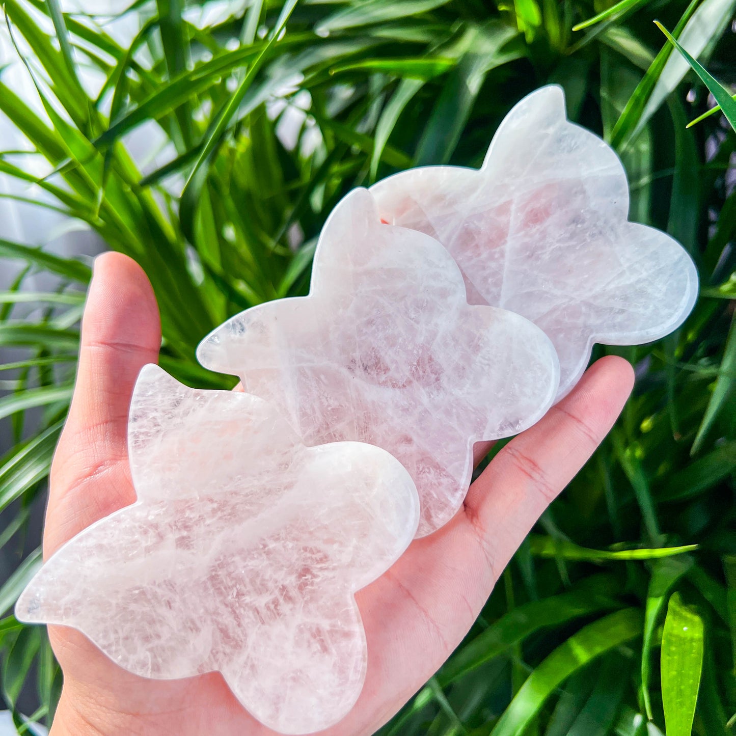 rose quartz butterflys guasha slab