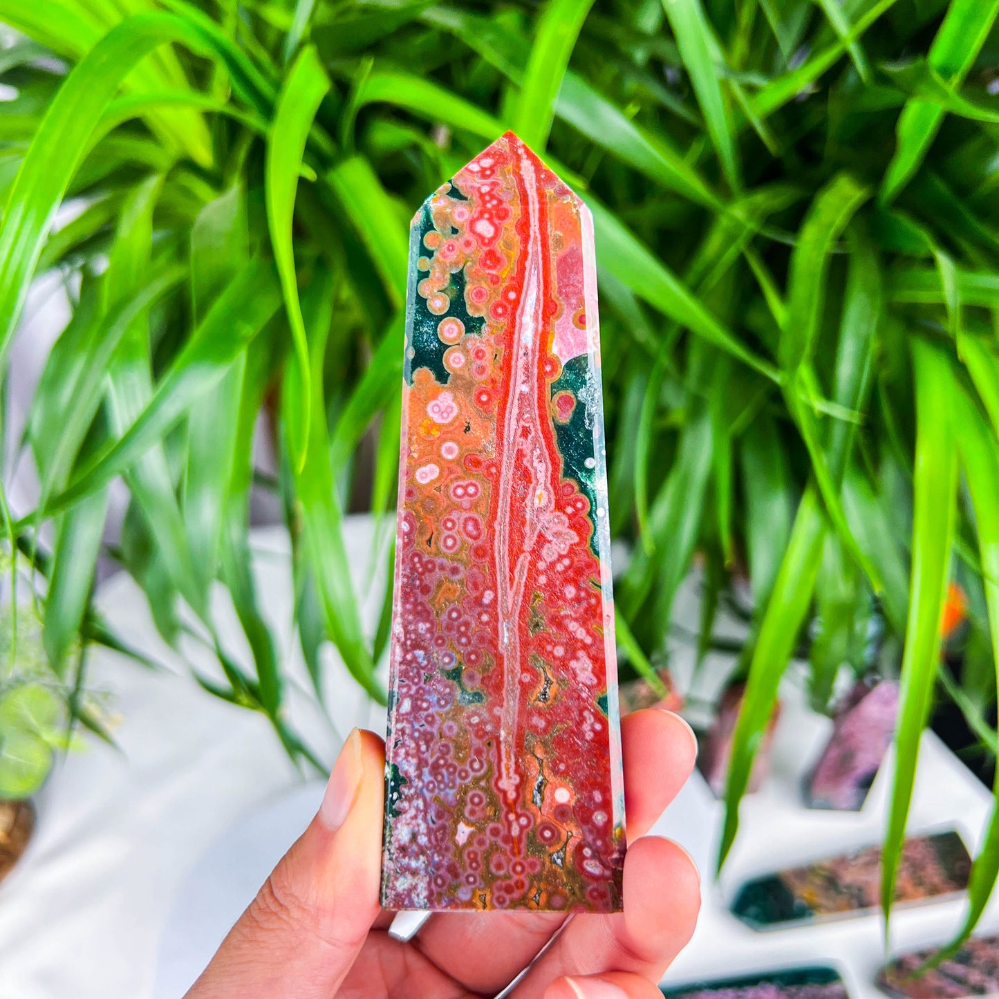 ocean jasper tower