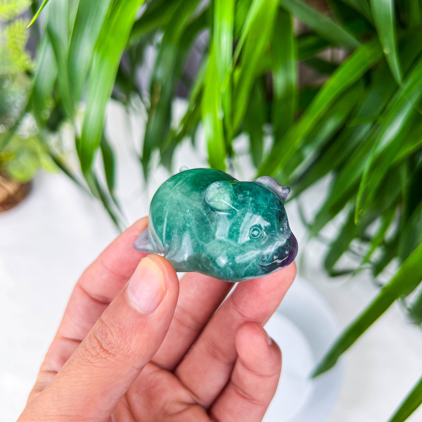 fluorite pig