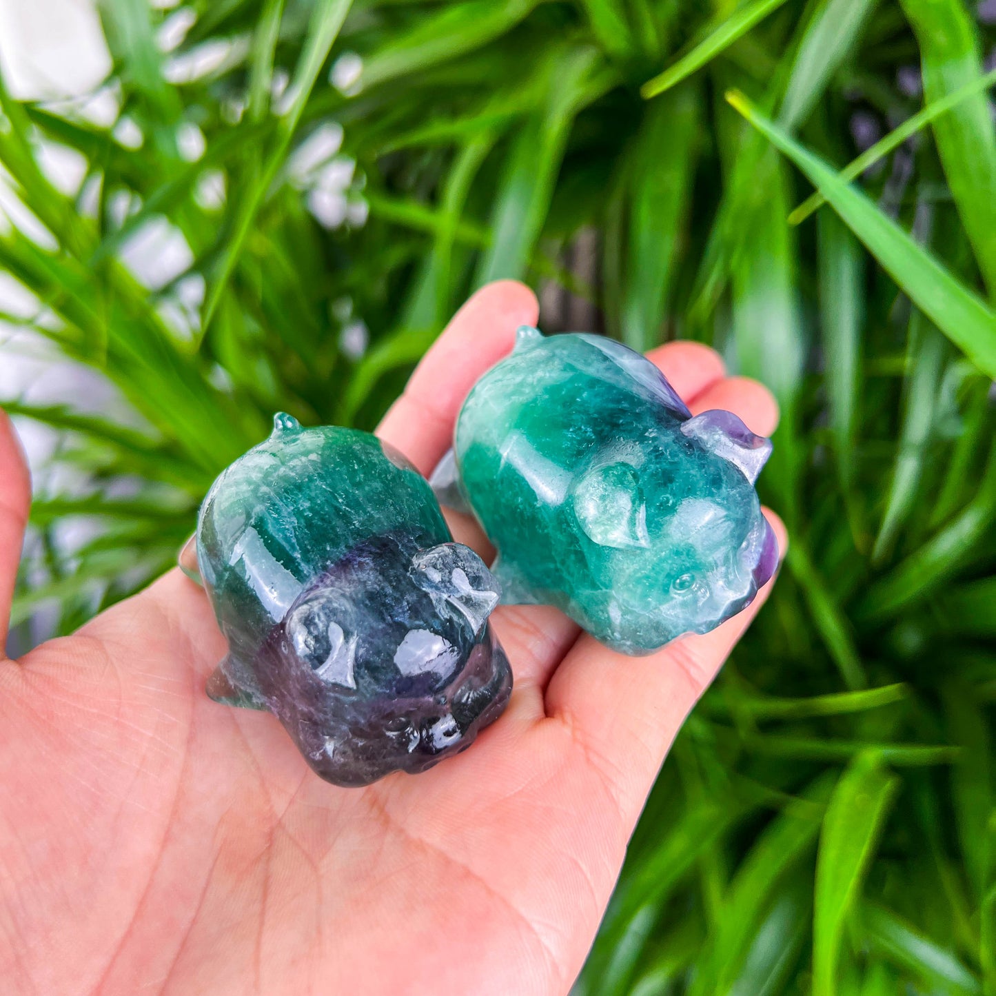 fluorite pig