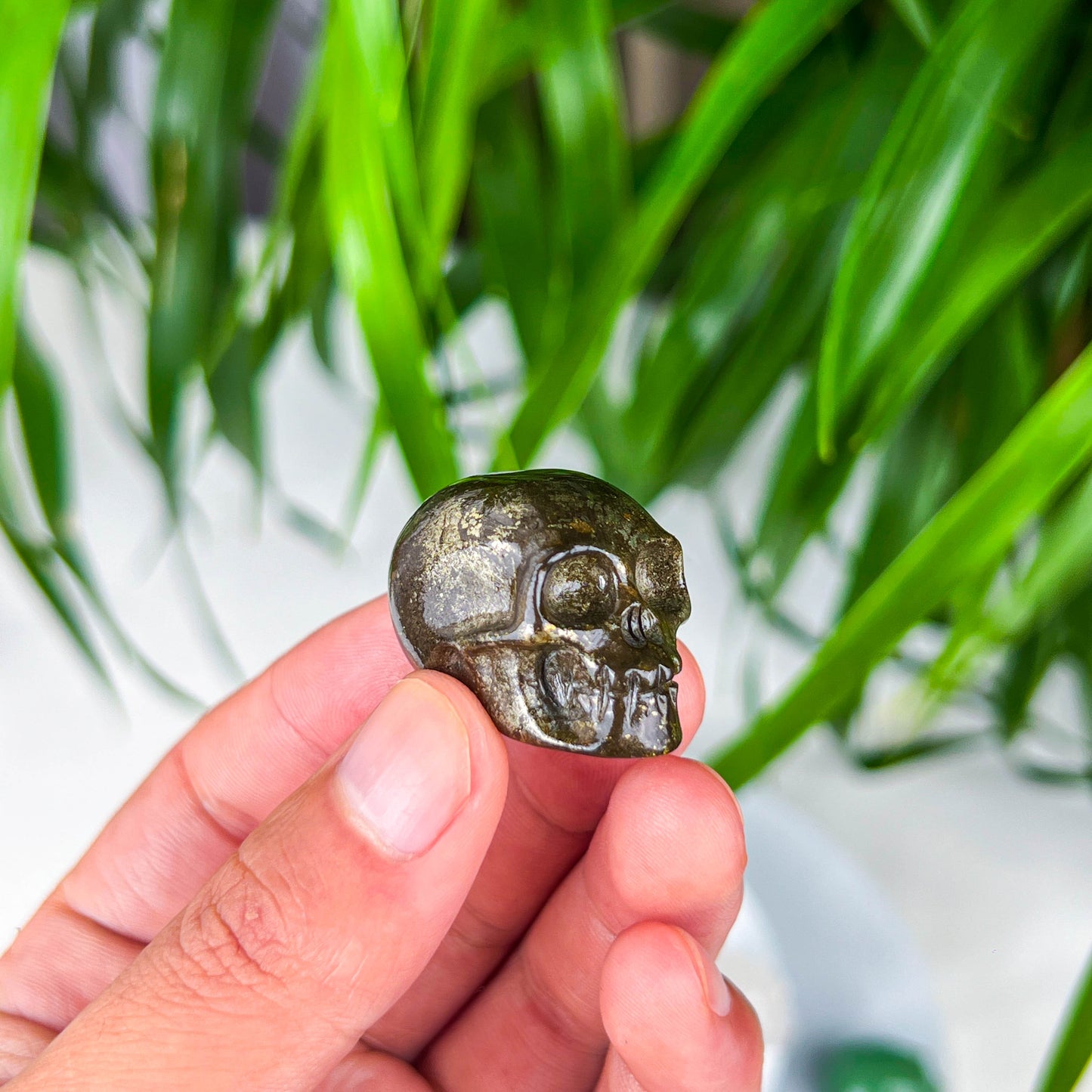 small skull