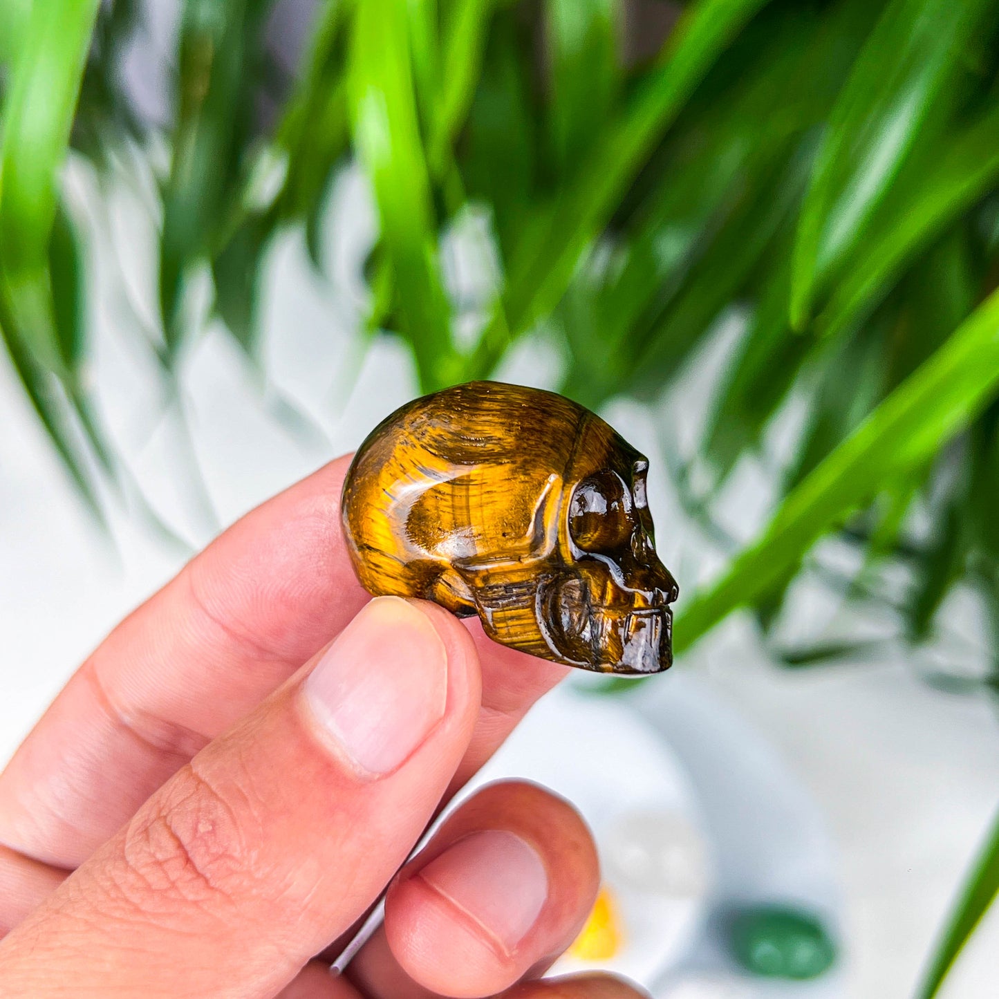 small skull