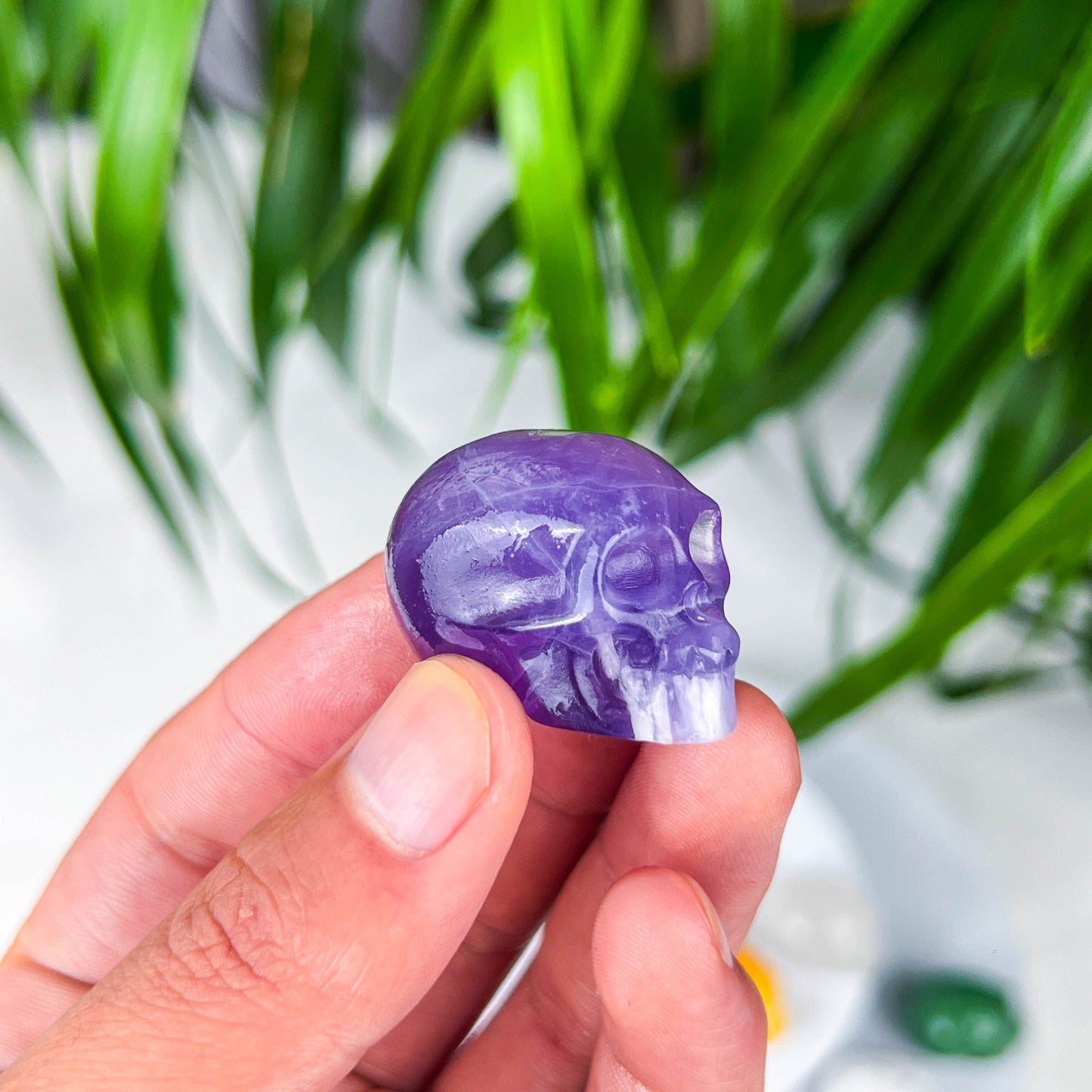 small skull