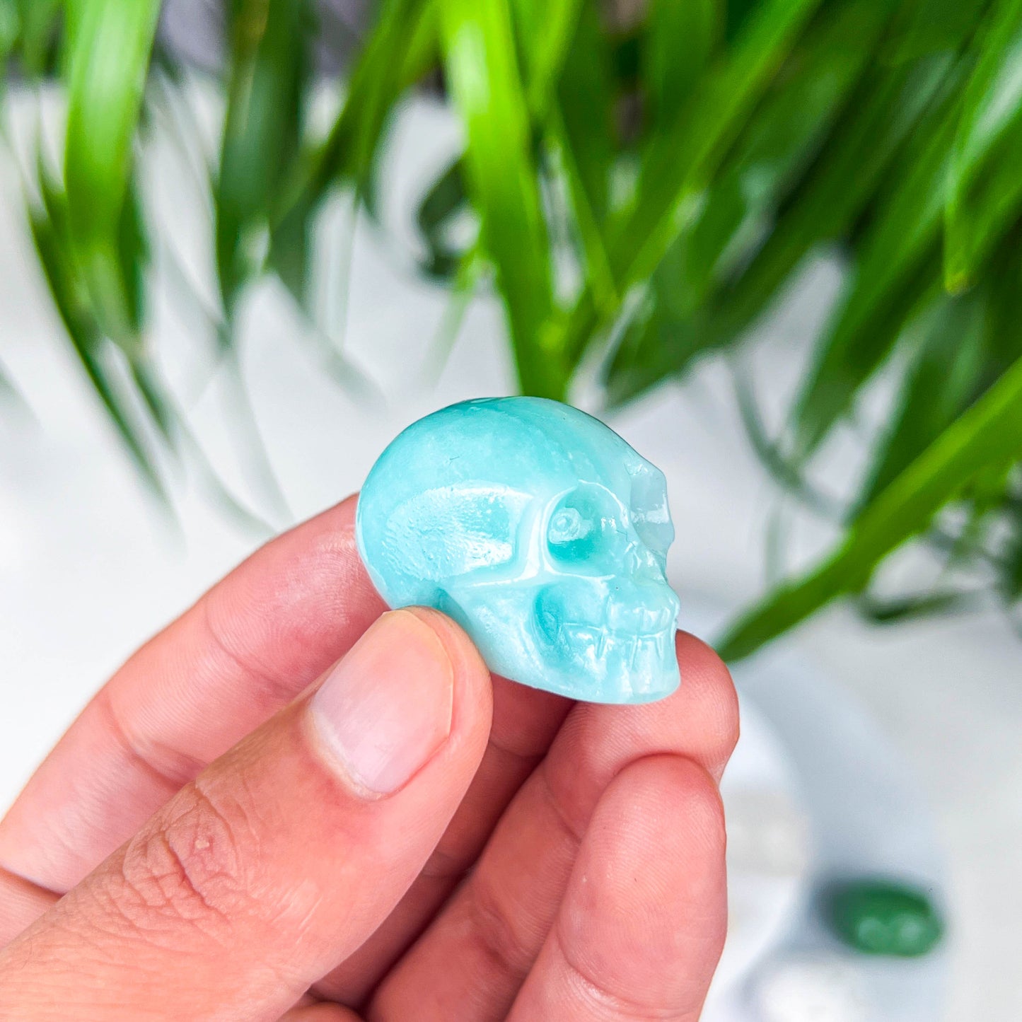 small skull