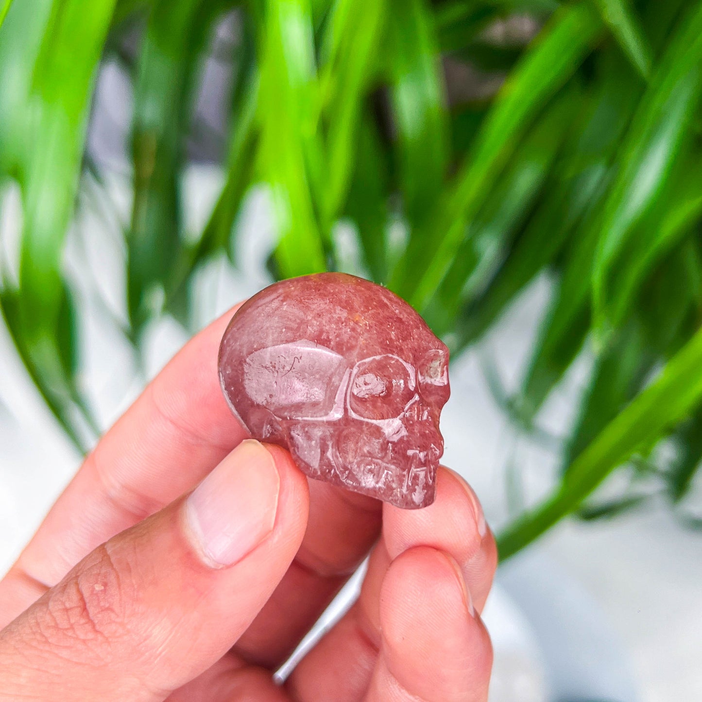 small skull