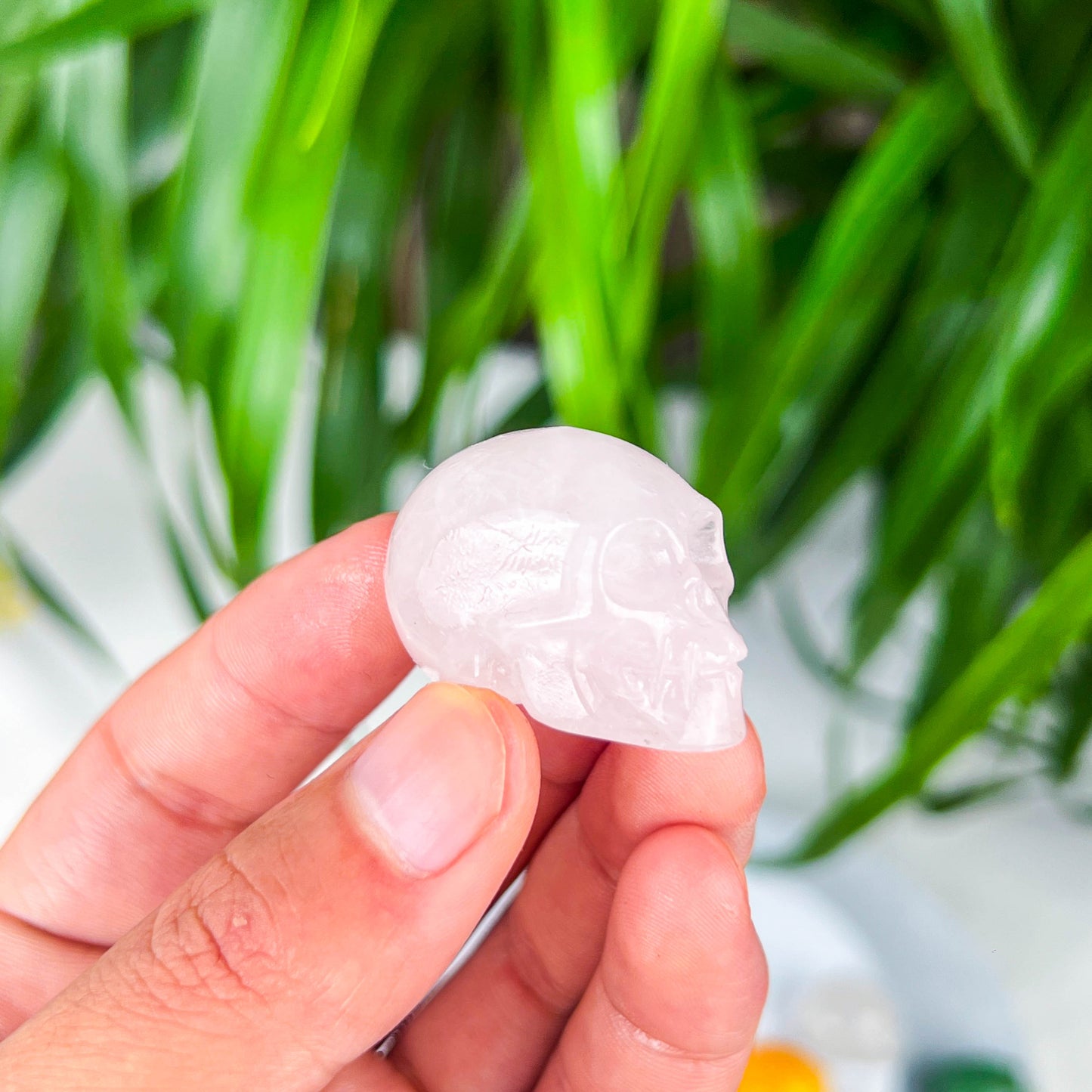 small skull