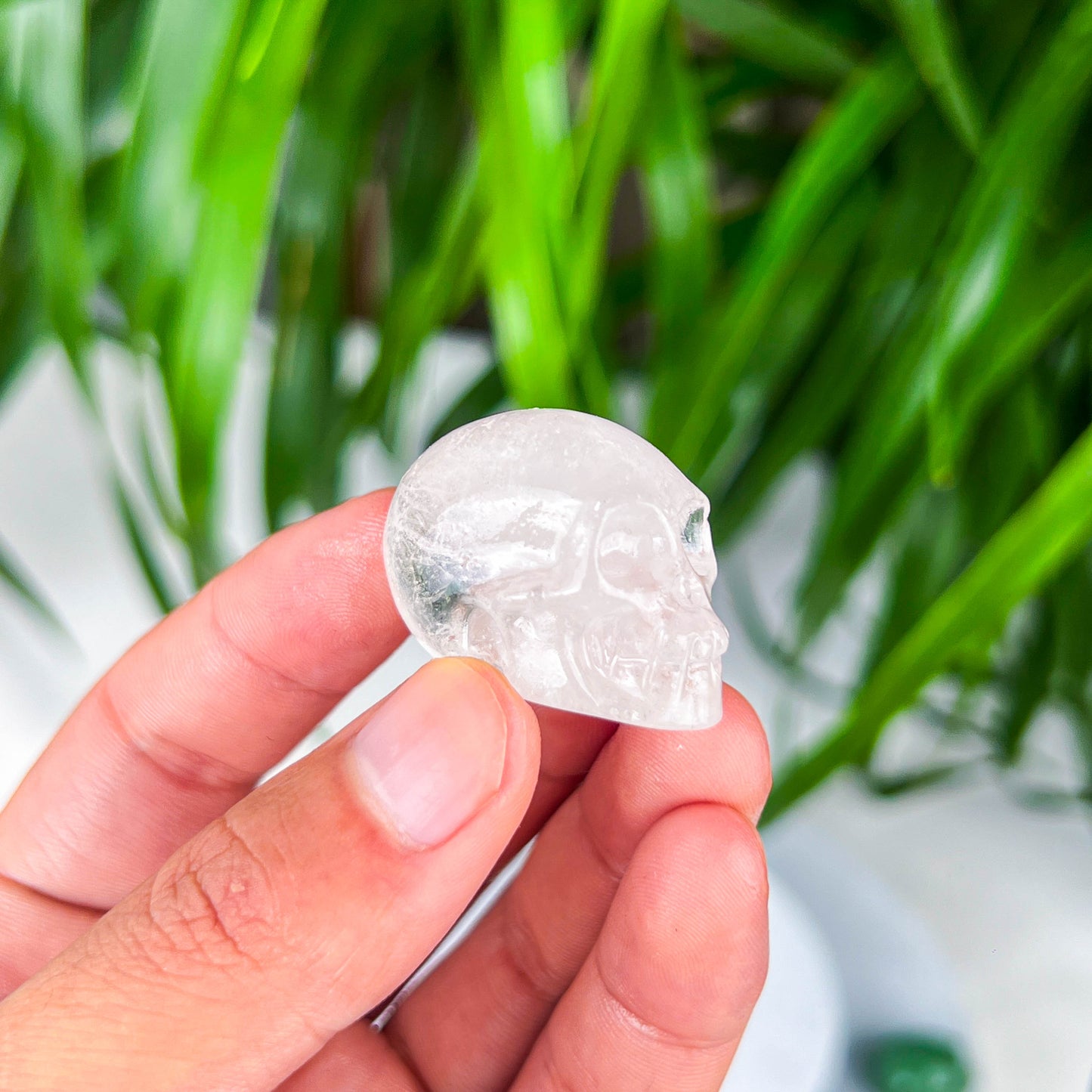 small skull