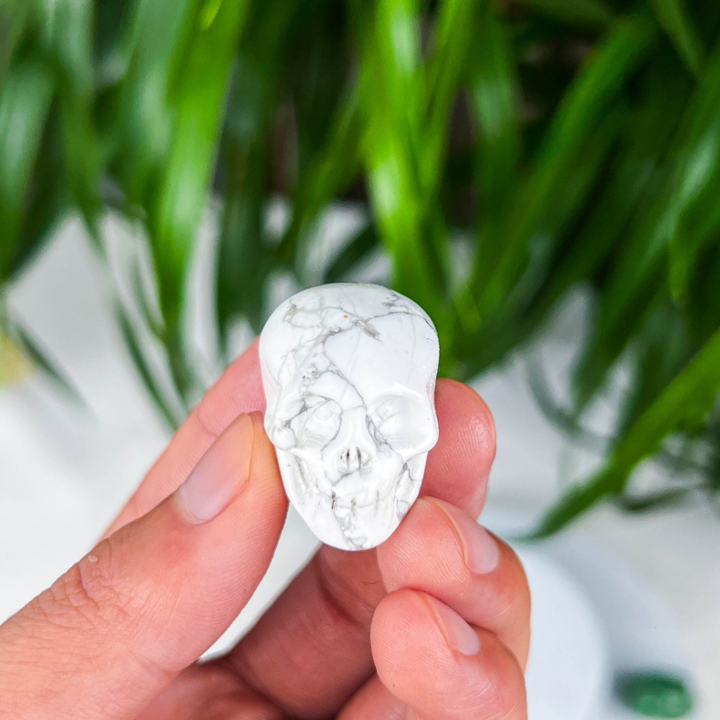 small skull