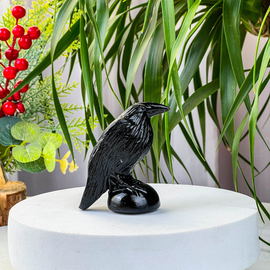 small obsidian bird