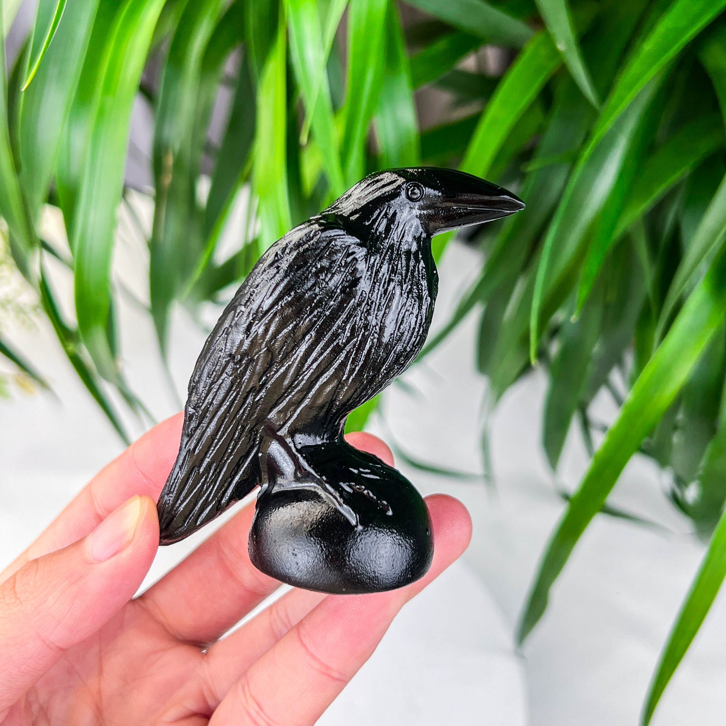 small obsidian bird