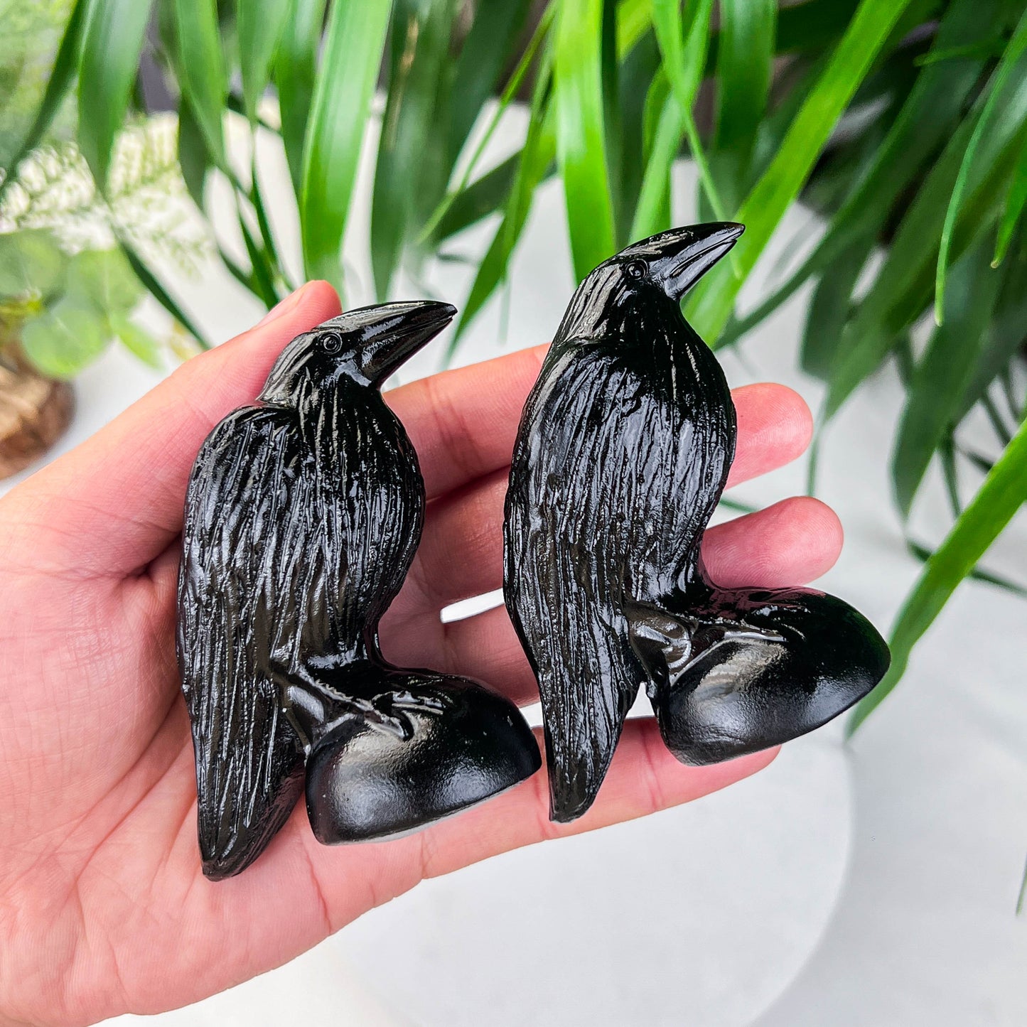small obsidian bird