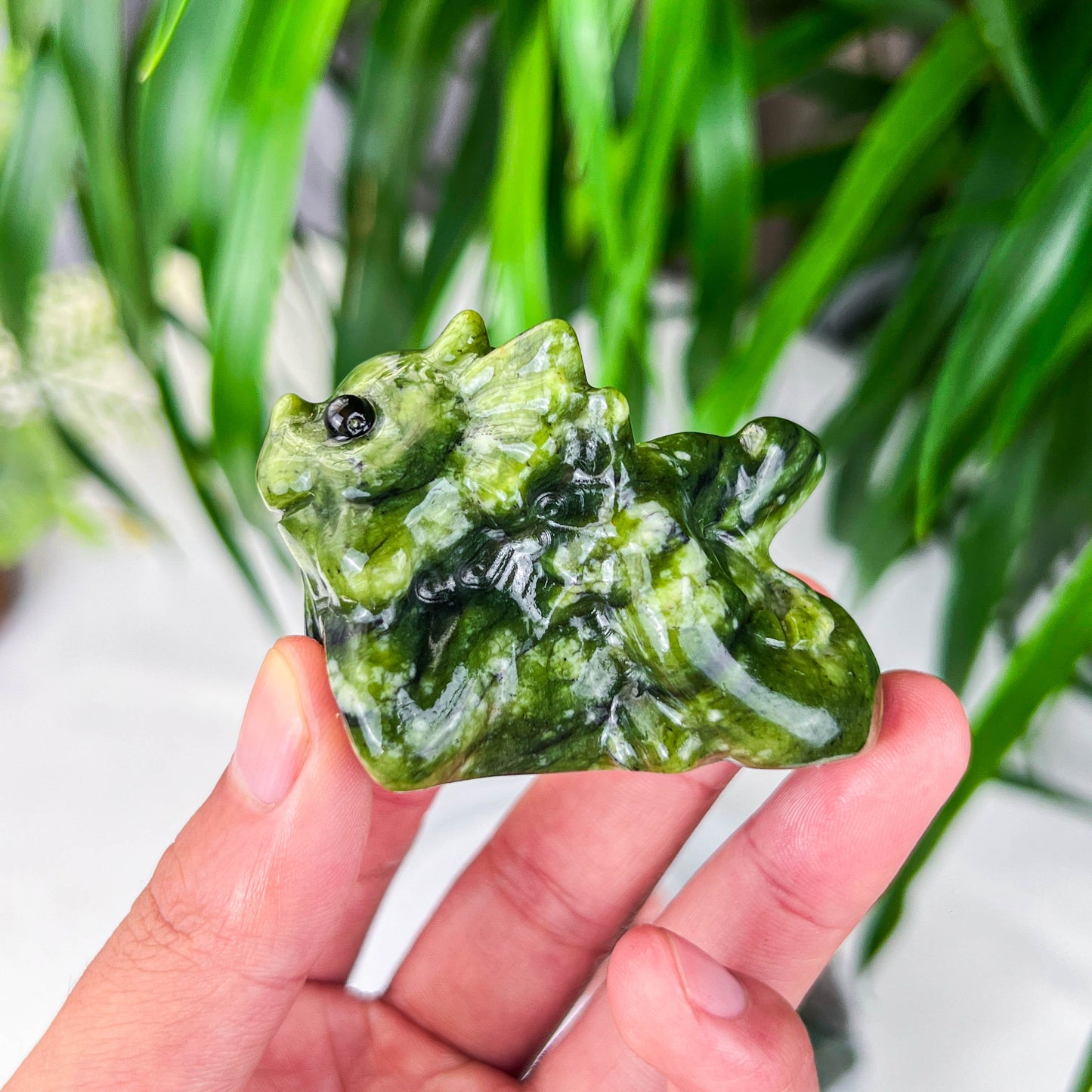 baby dragon