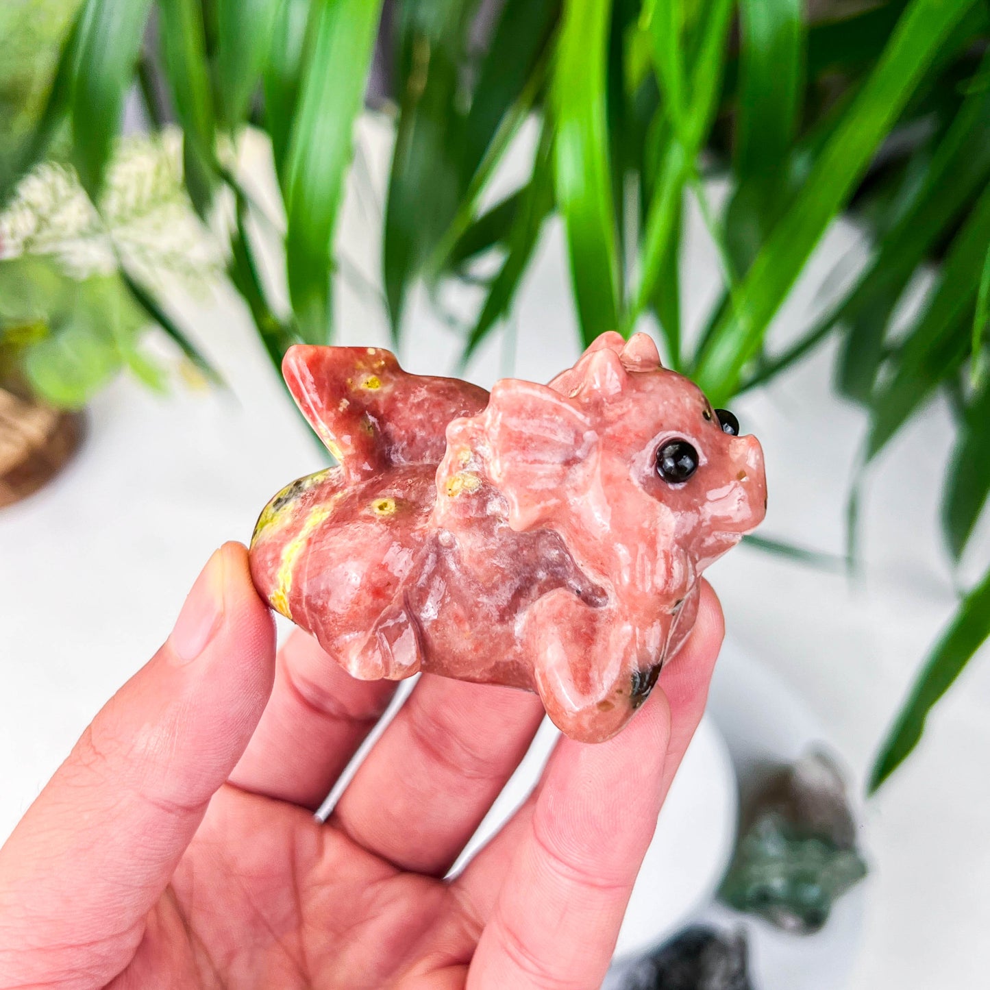 baby dragon