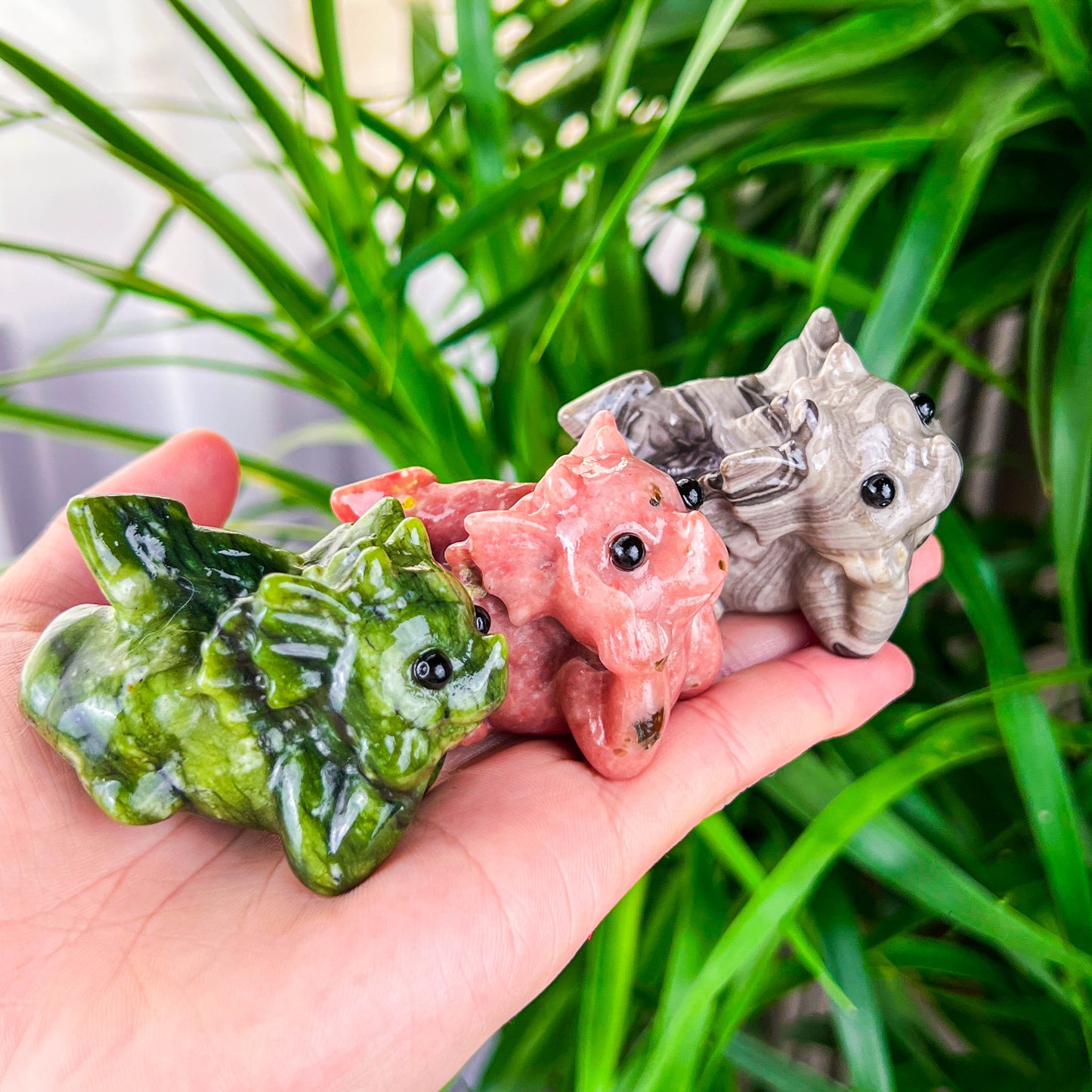 baby dragon