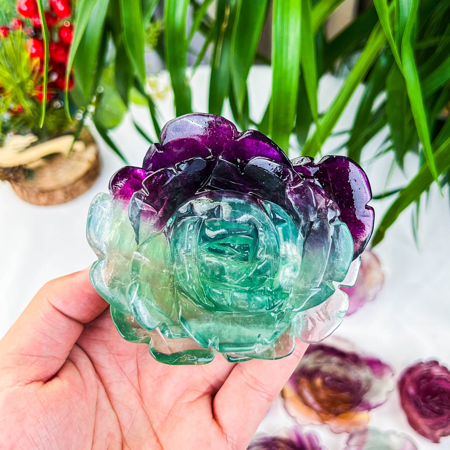 fluorite rose